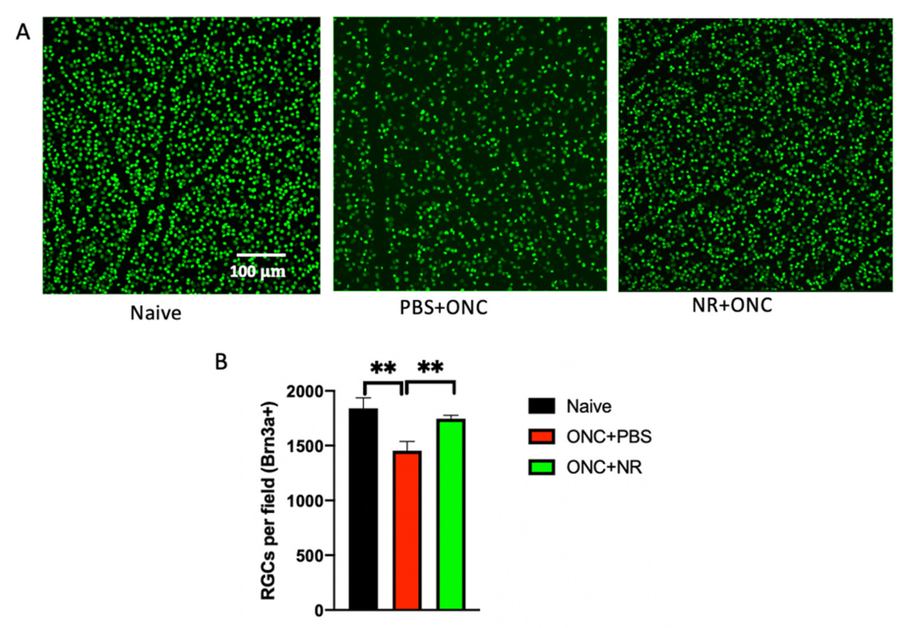Pharmaceutics 13 00893 g003