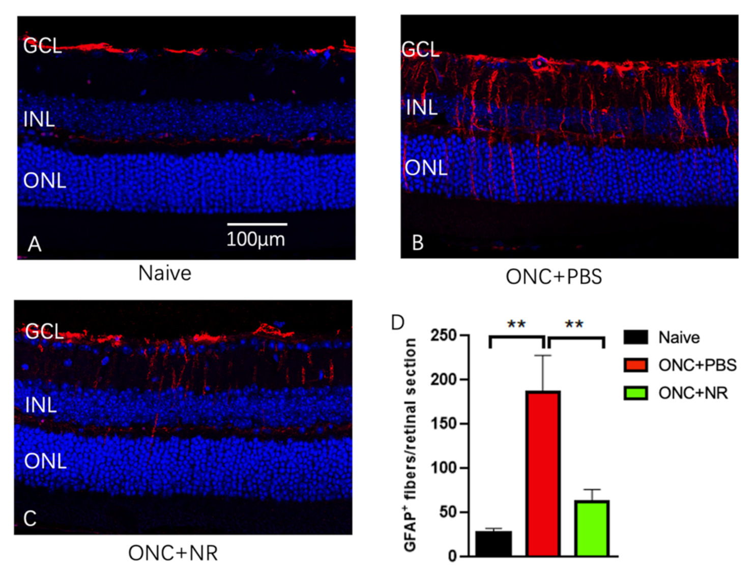 Pharmaceutics 13 00893 g004