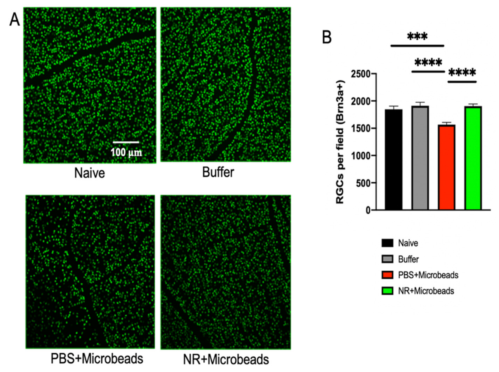 Pharmaceutics 13 00893 g006