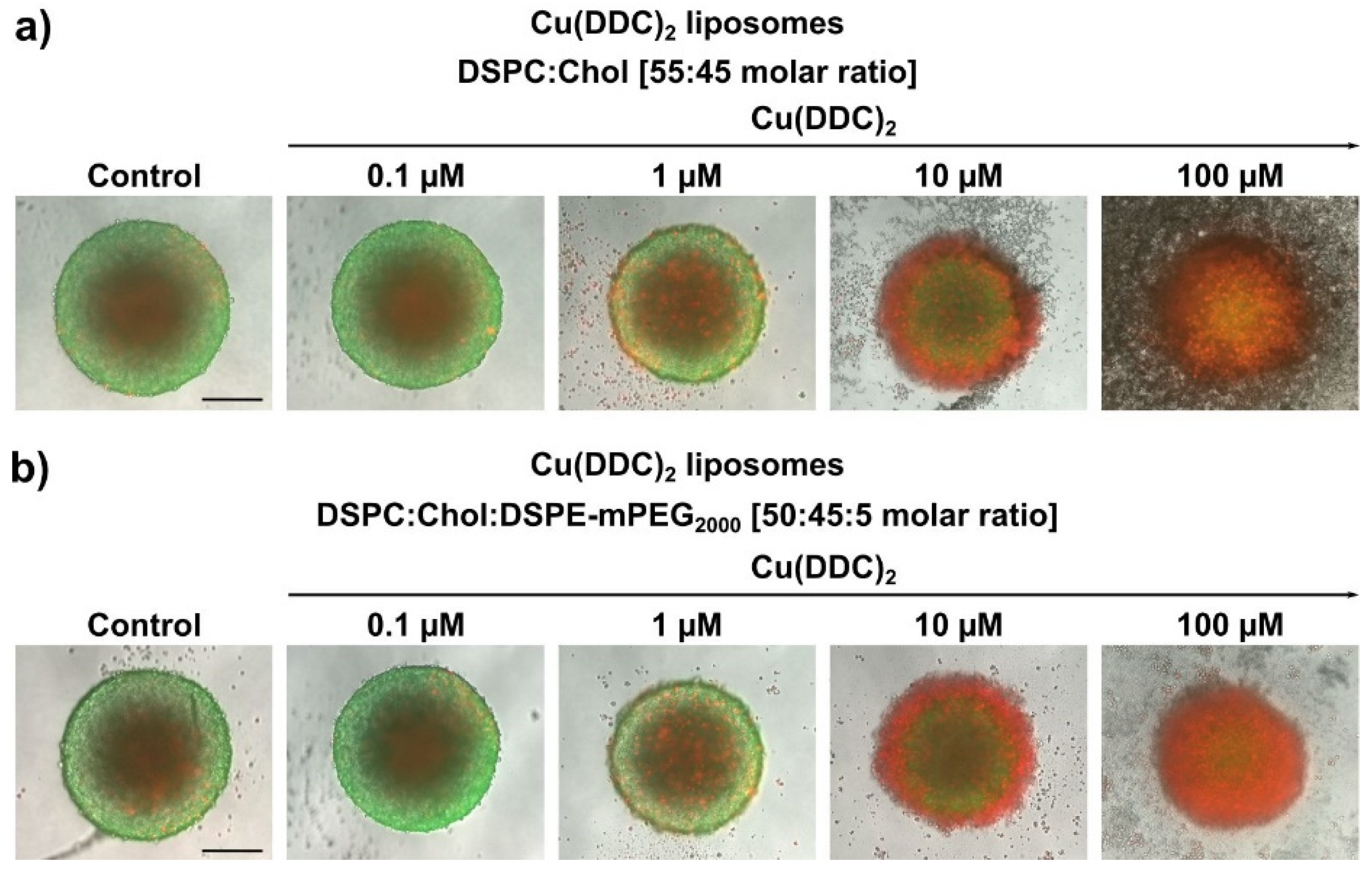 Pharmaceutics 13 00894 g009
