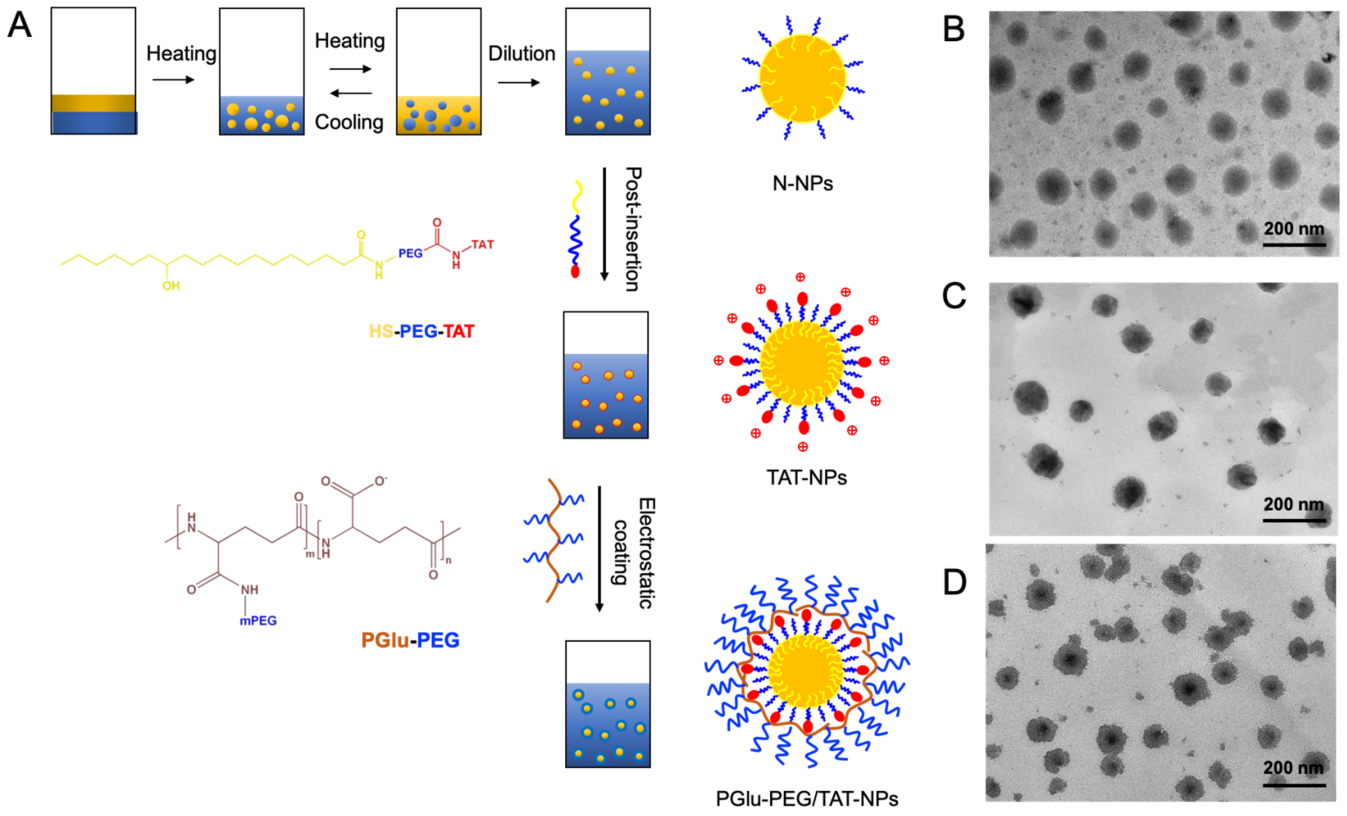 Pharmaceutics 13 00895 g001 Pharmaceutics 13 00895 g001