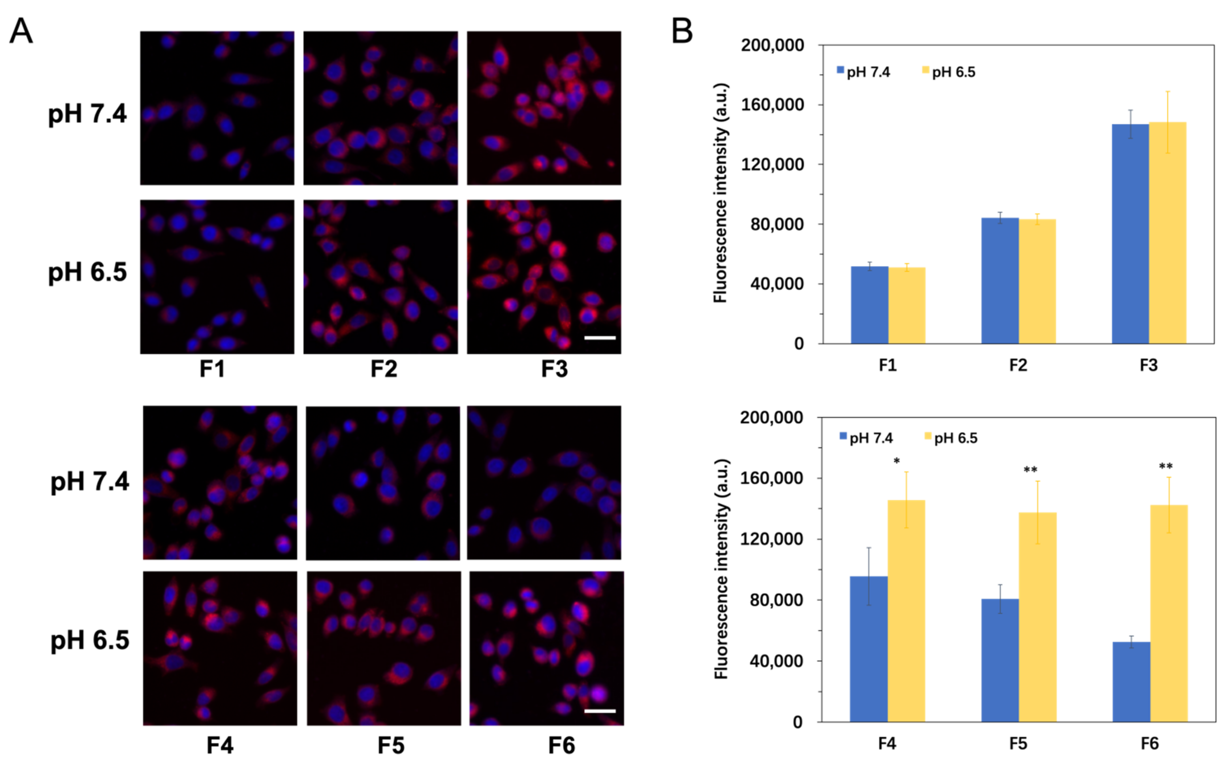 Pharmaceutics 13 00895 g005 Pharmaceutics 13 00895 g005