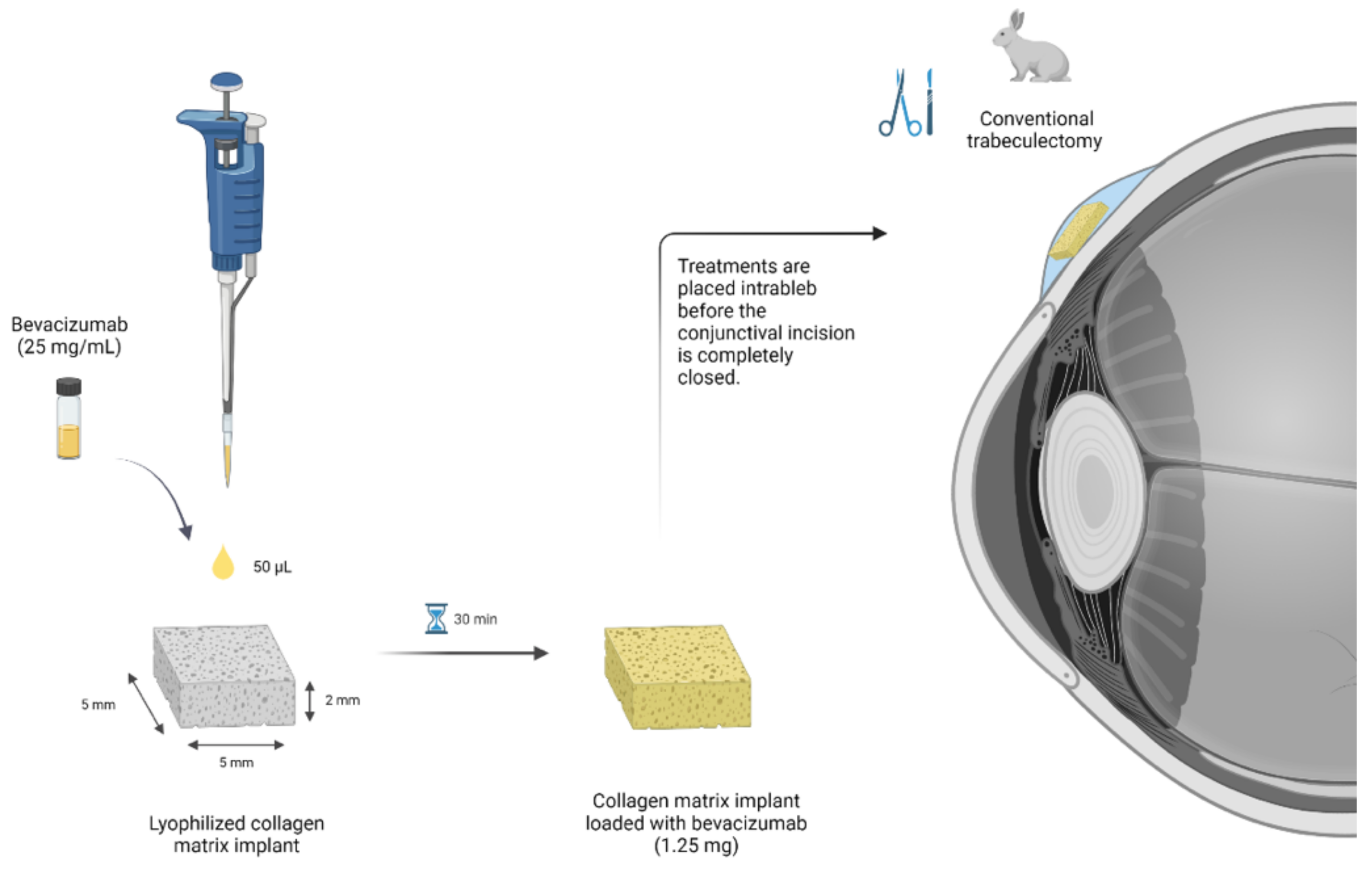 Pharmaceutics 13 00896 g002 Pharmaceutics 13 00896 g002