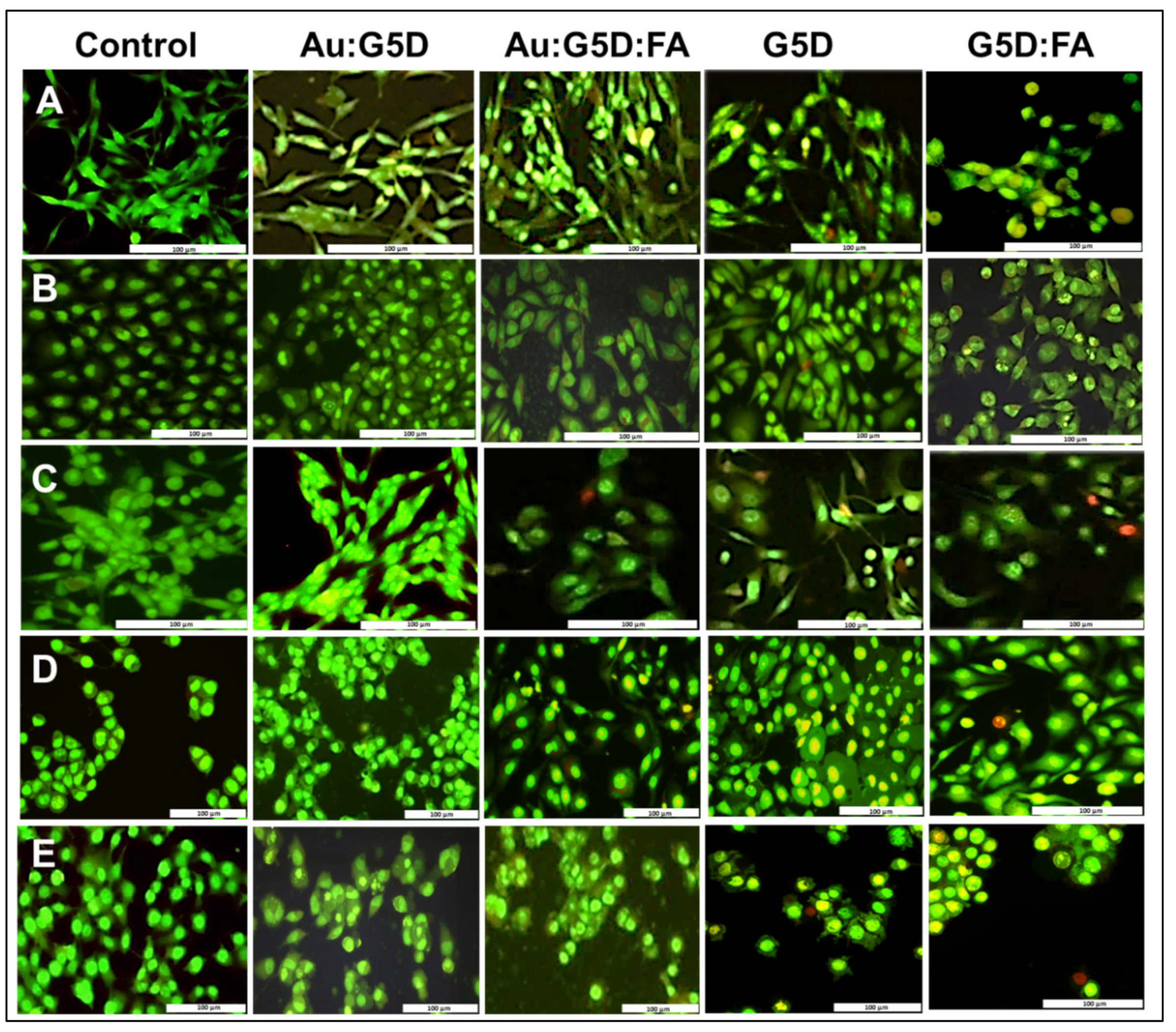 Pharmaceutics 13 00900 g008