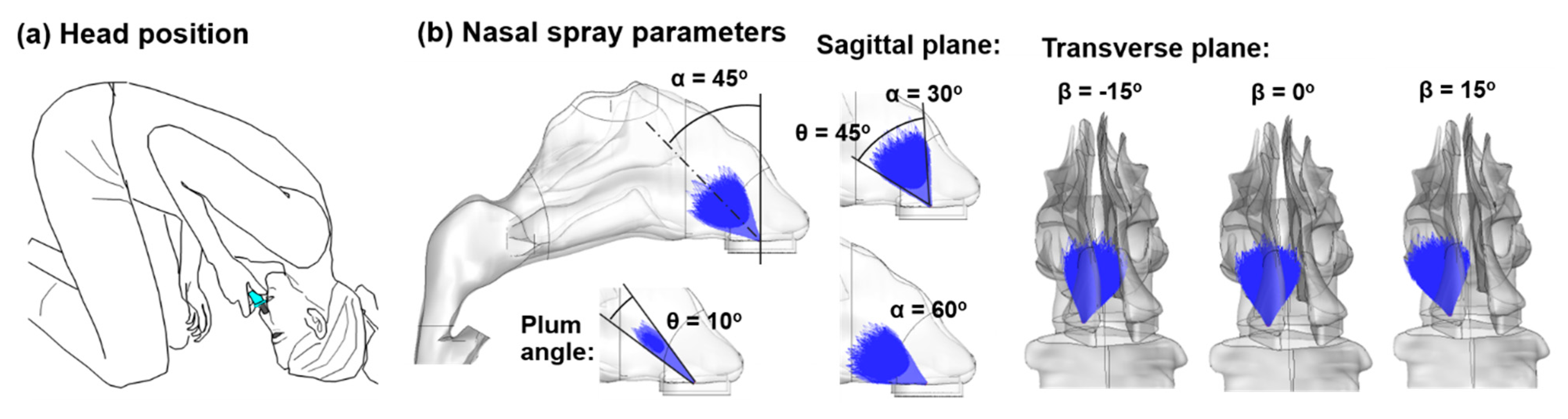 Pharmaceutics 13 00903 g002