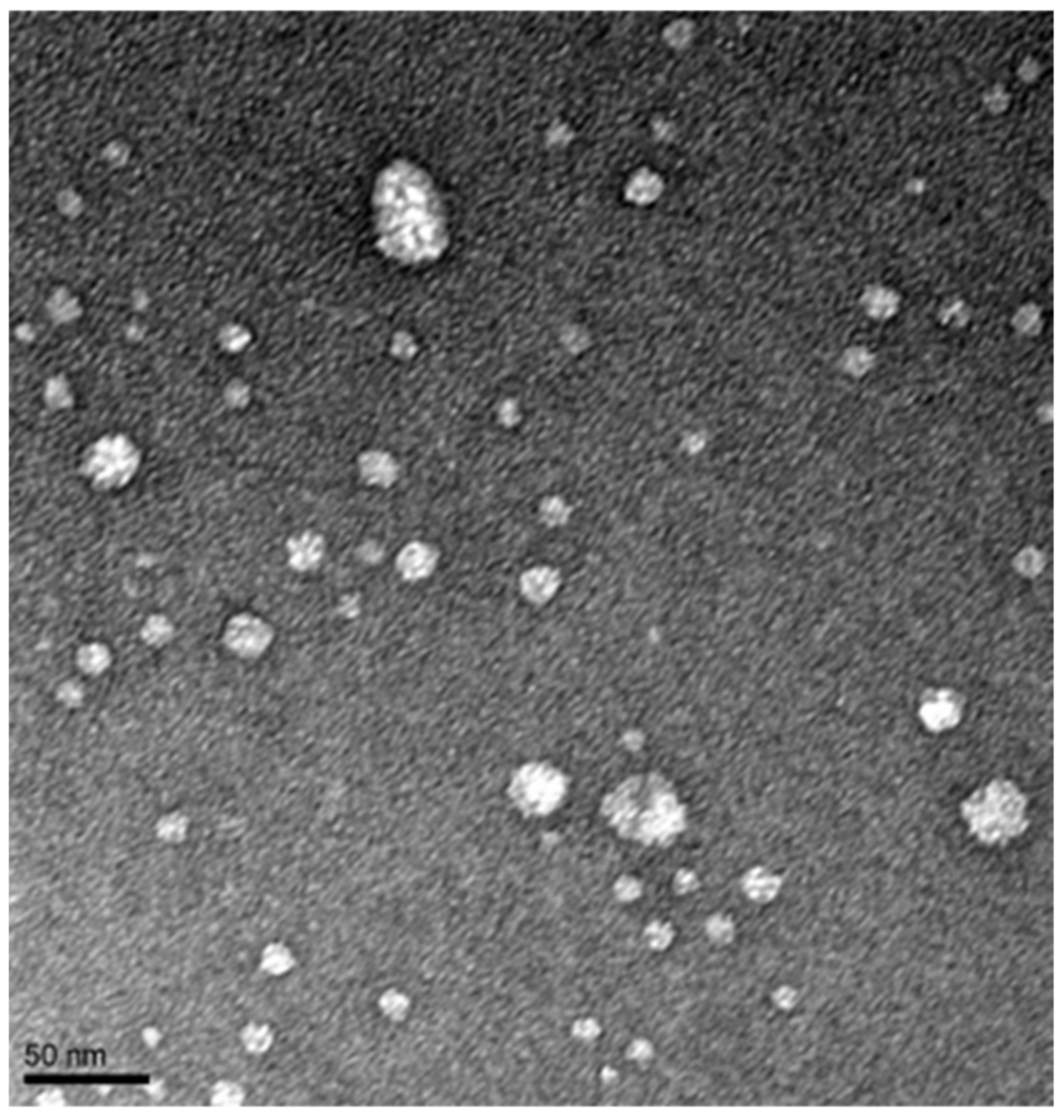 Pharmaceutics 13 00904 g003