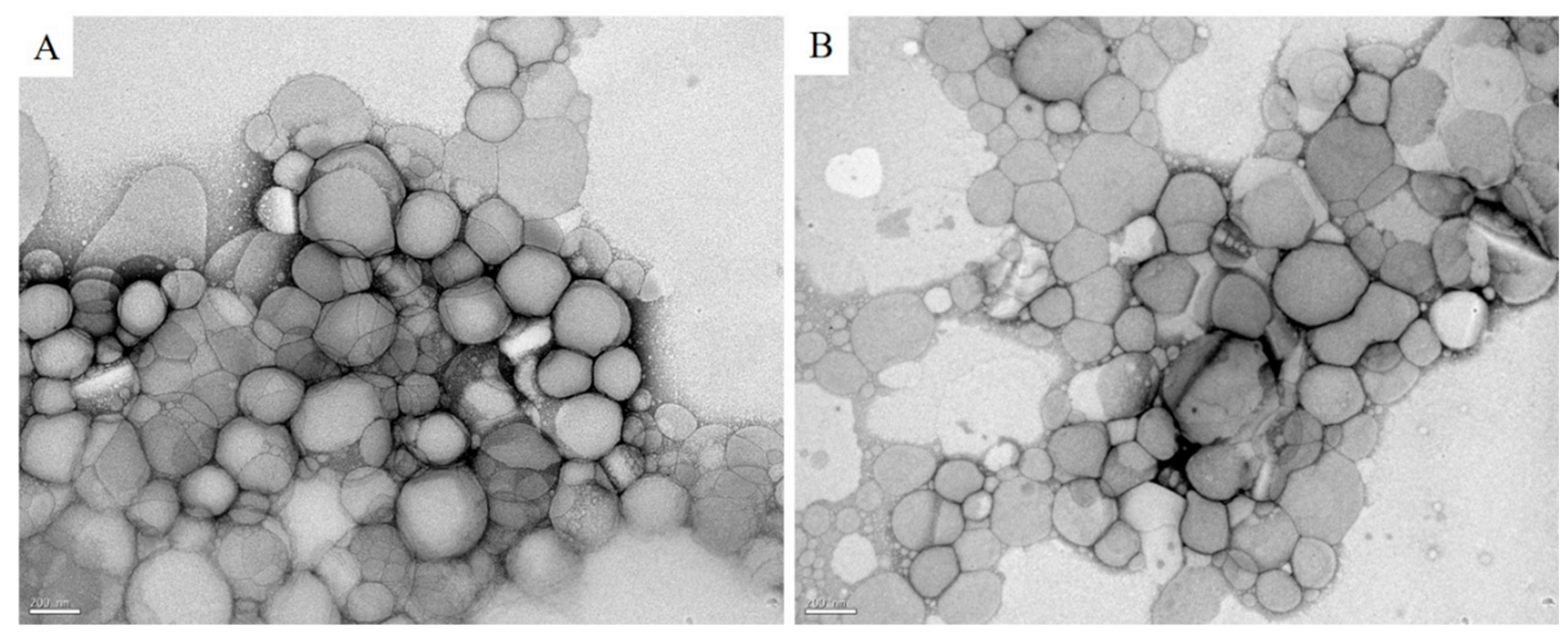 Pharmaceutics 13 00908 g001