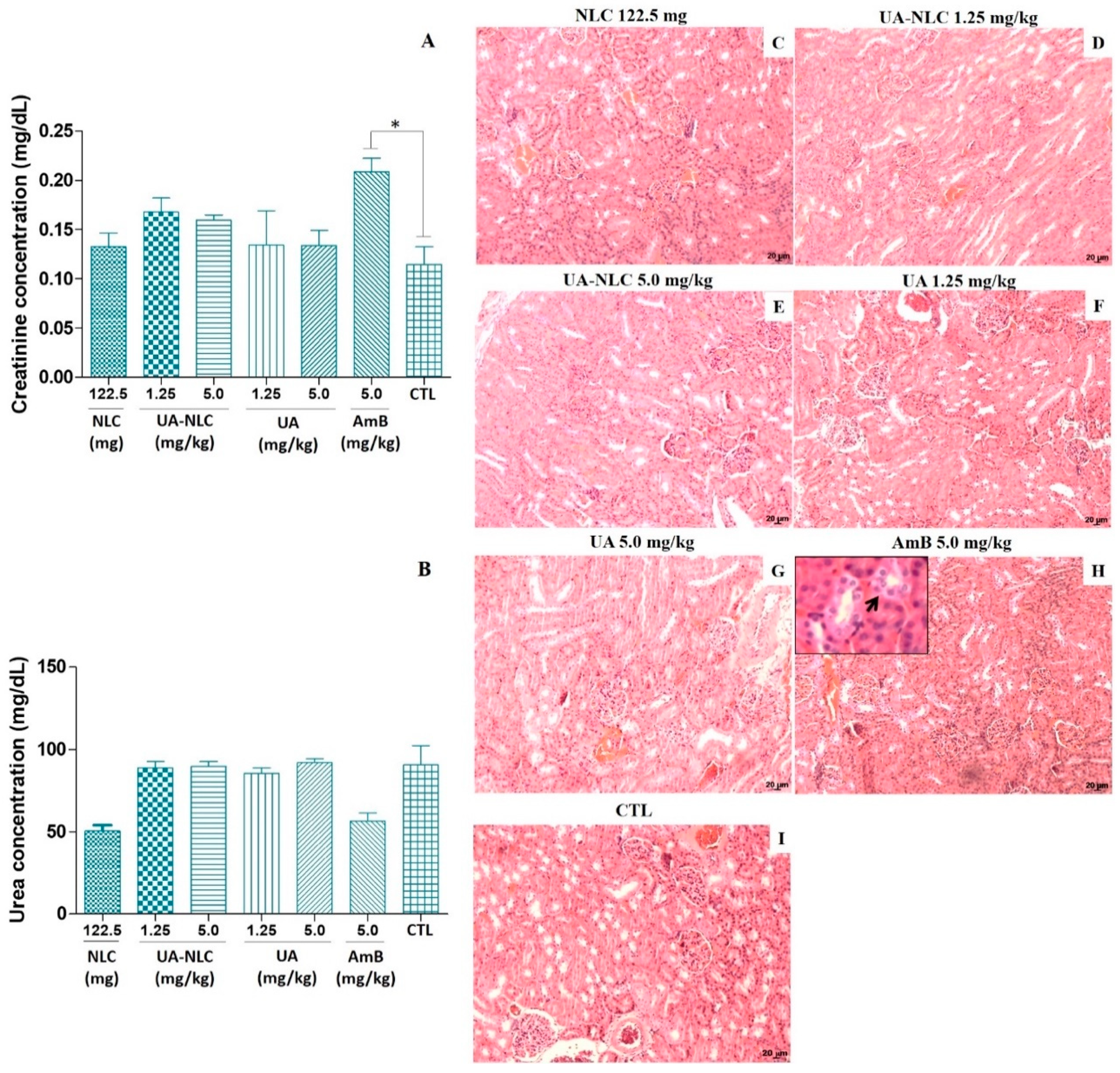 Pharmaceutics 13 00908 g003