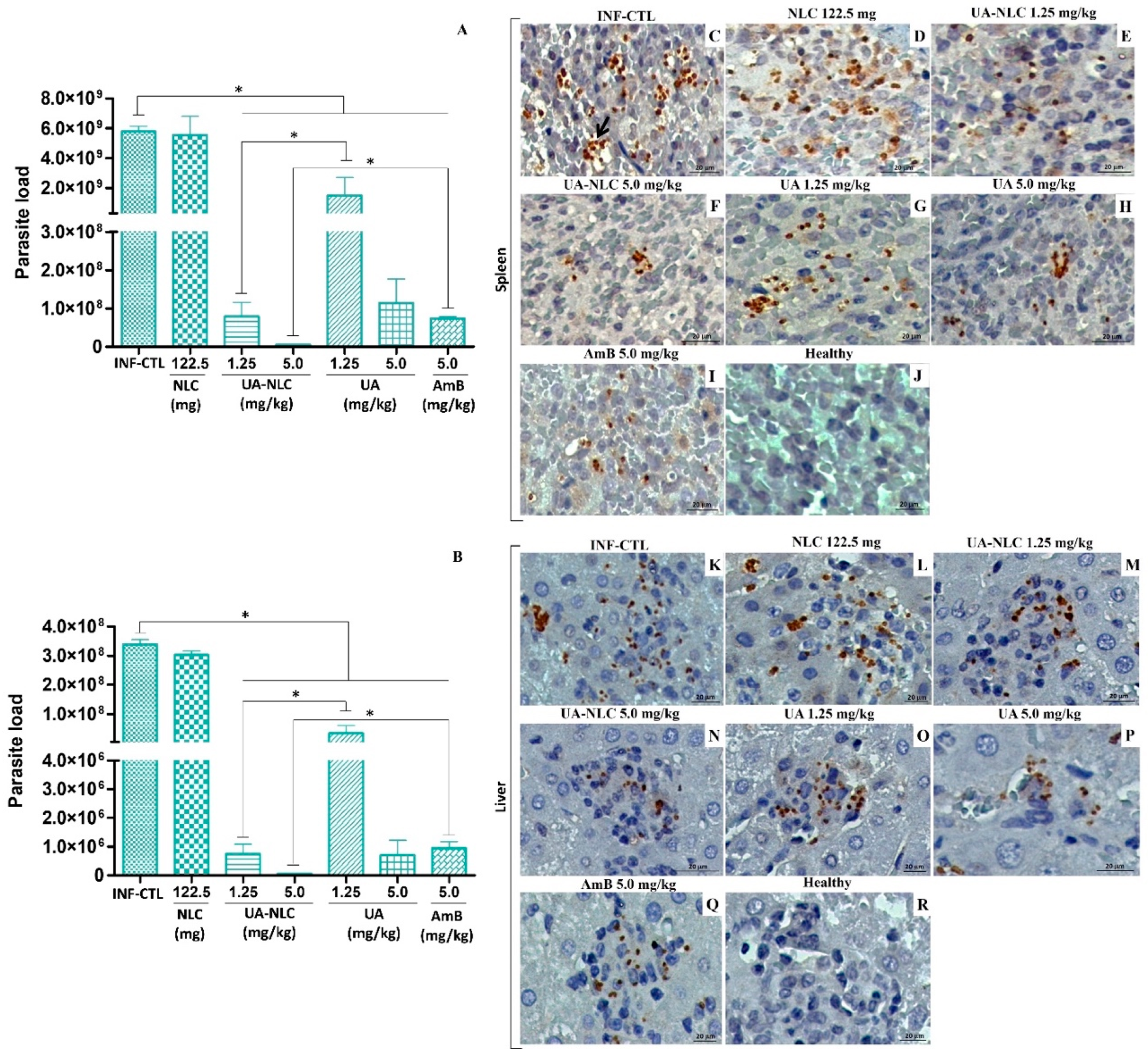Pharmaceutics 13 00908 g004