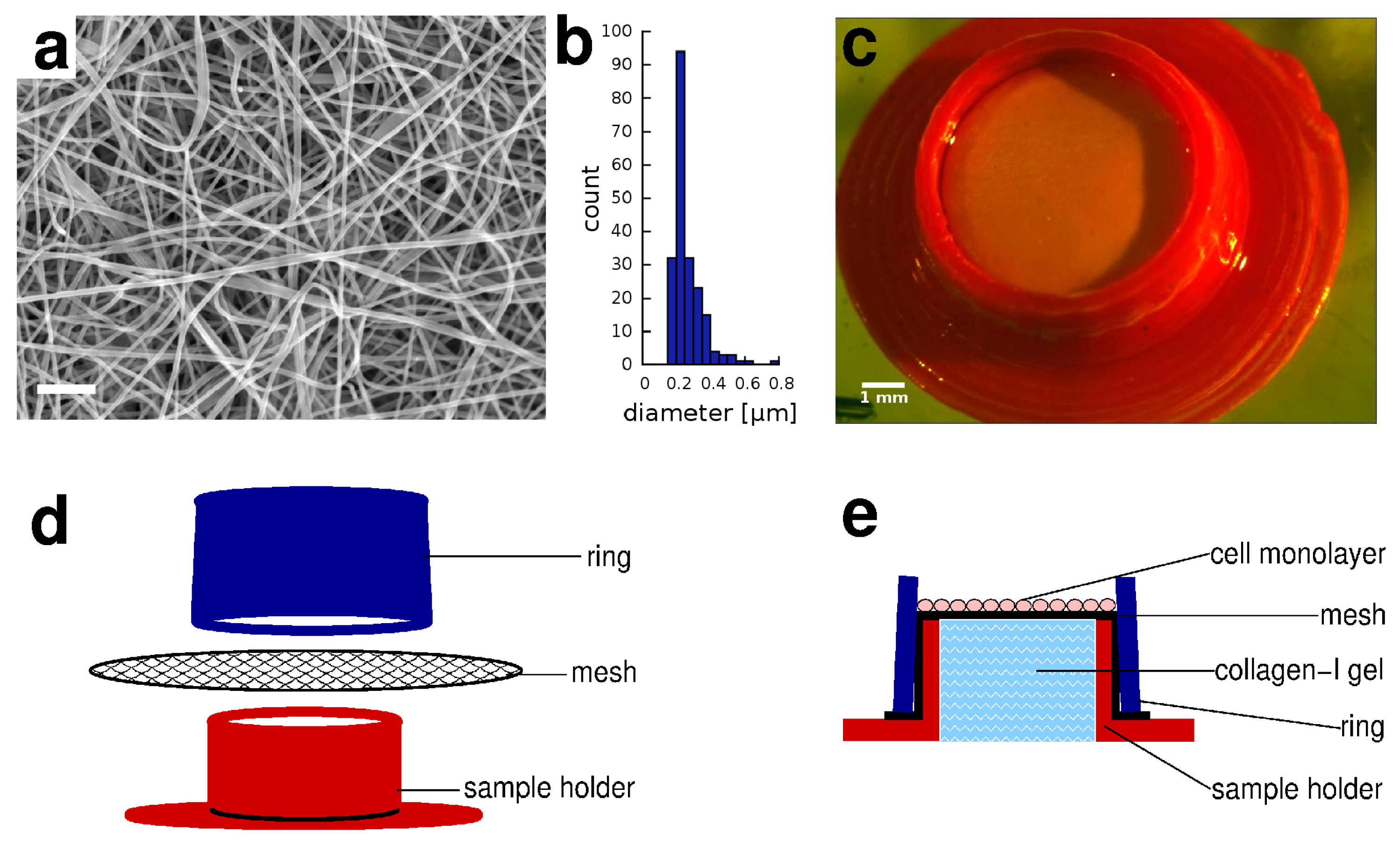 Pharmaceutics 13 00910 g001