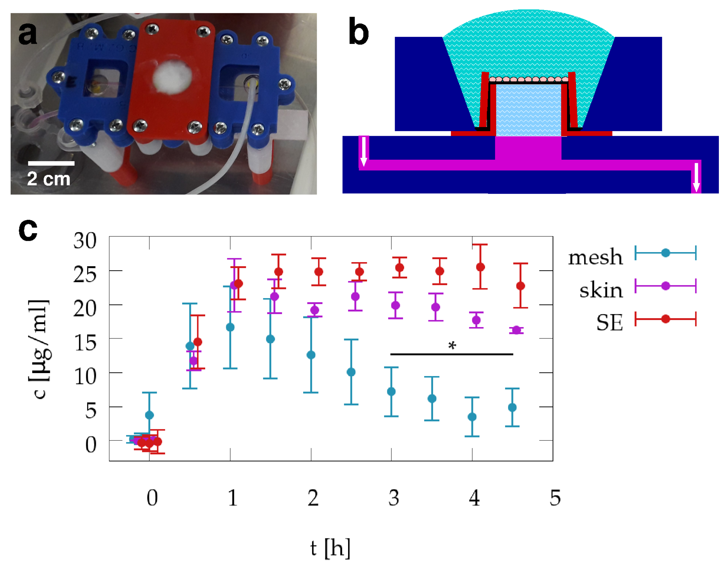Pharmaceutics 13 00910 g003