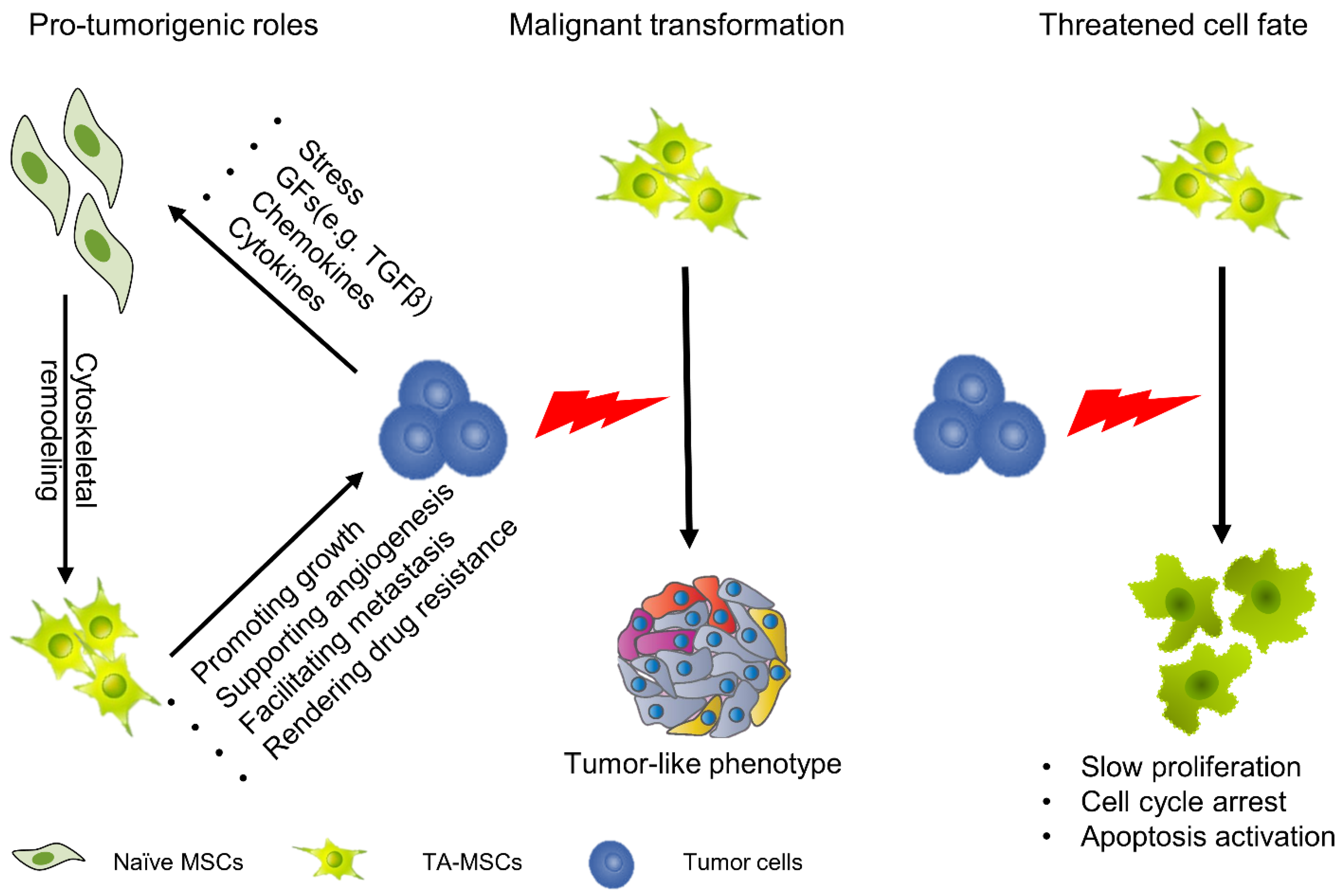Pharmaceutics 13 00913 g001