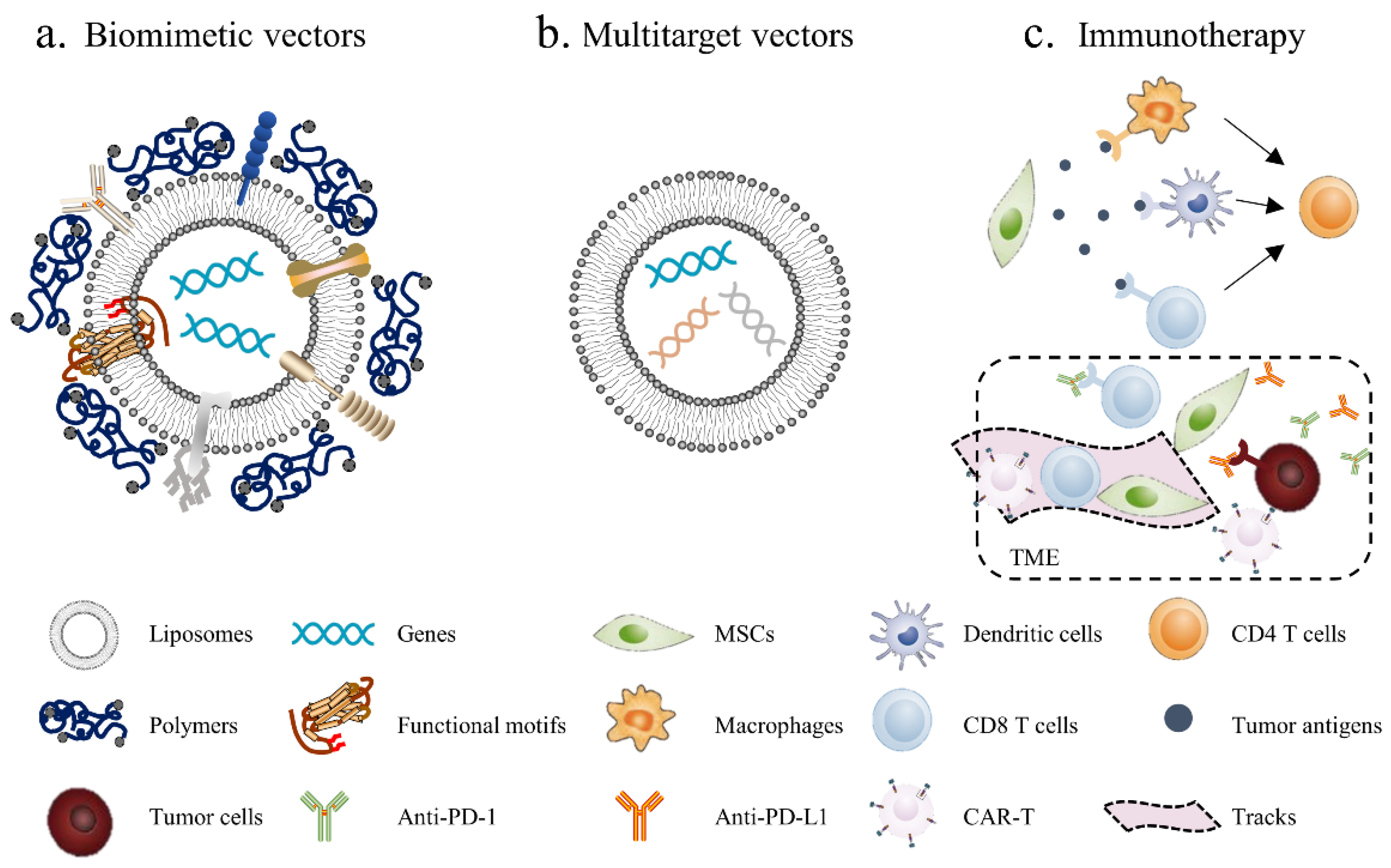Pharmaceutics 13 00913 g003