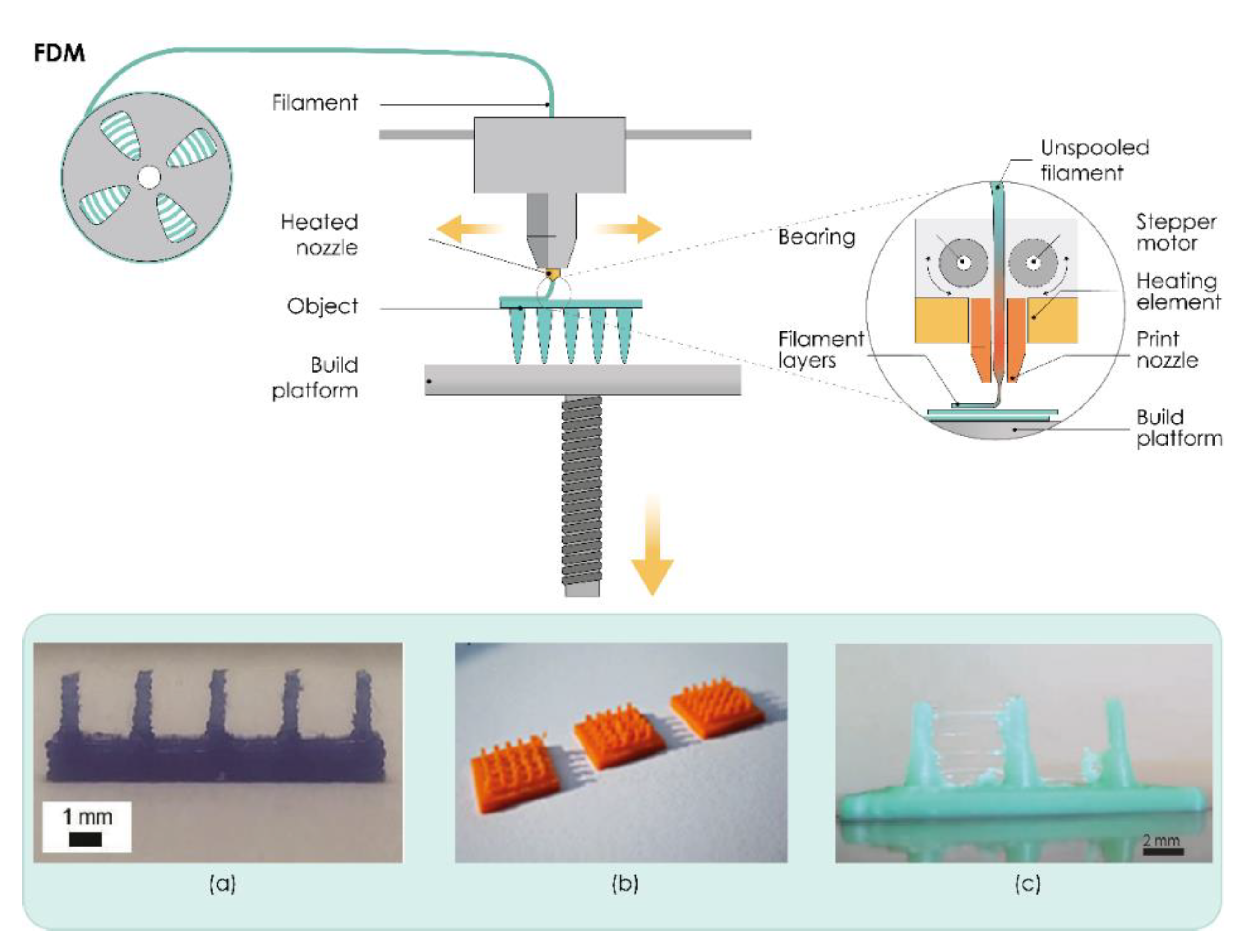 Pharmaceutics 13 00924 g002