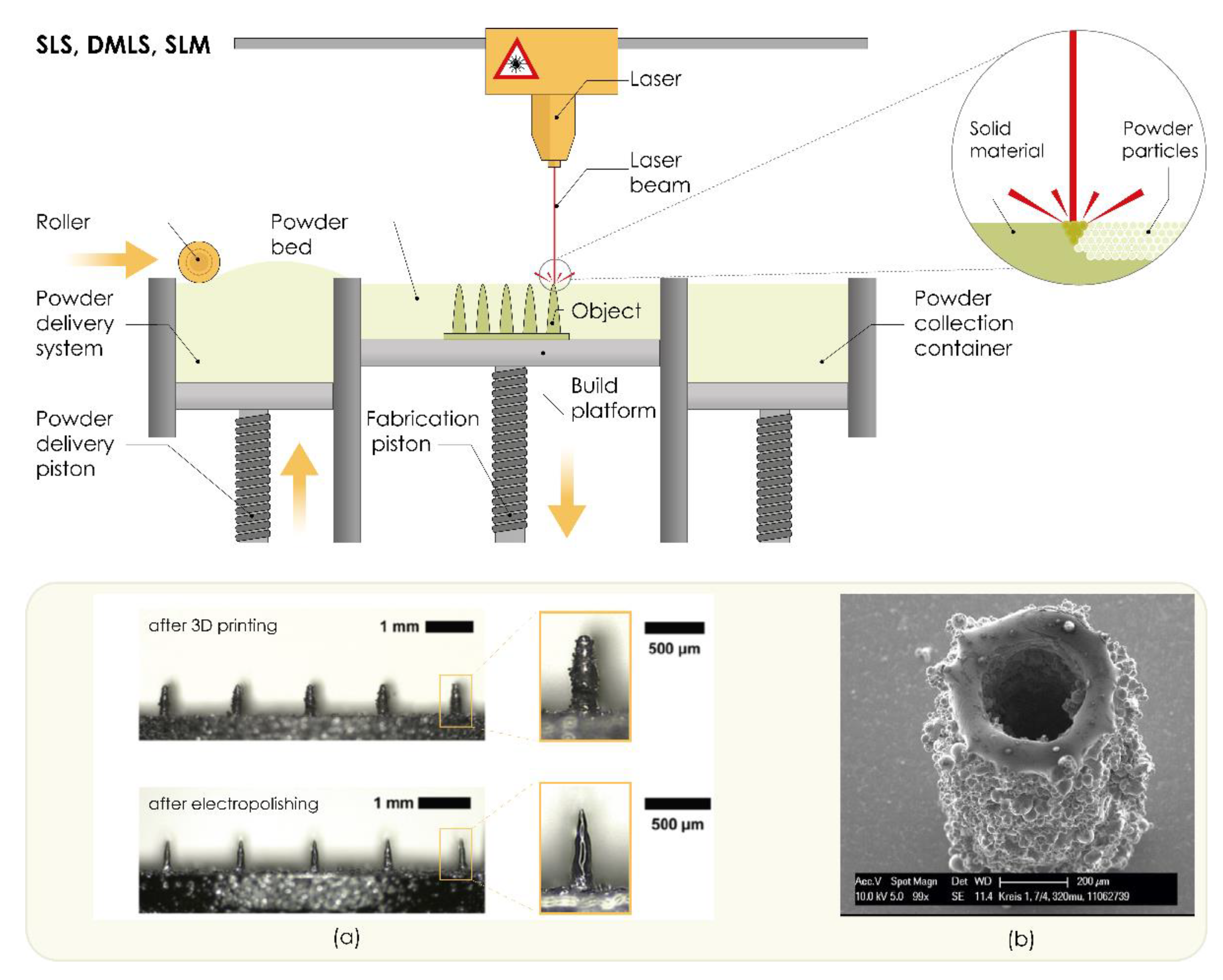 Pharmaceutics 13 00924 g006