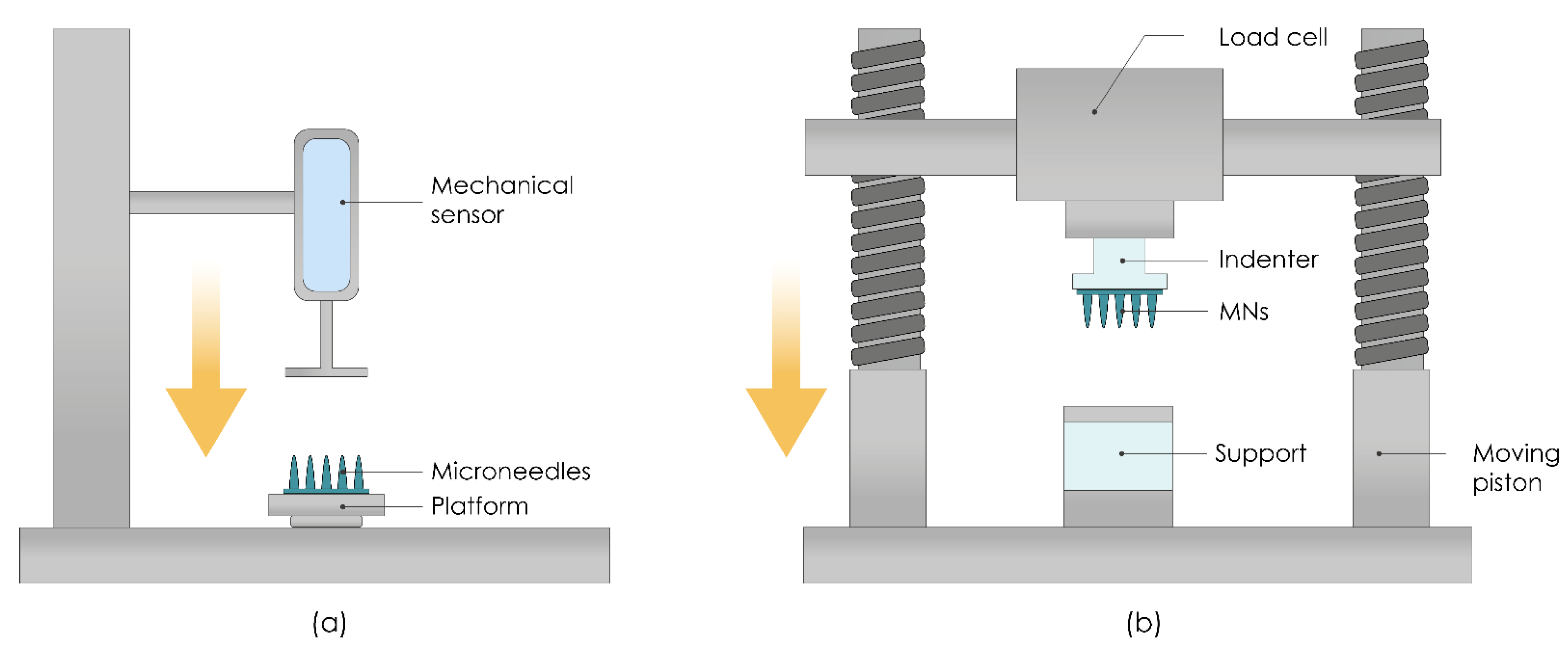 Pharmaceutics 13 00924 g009