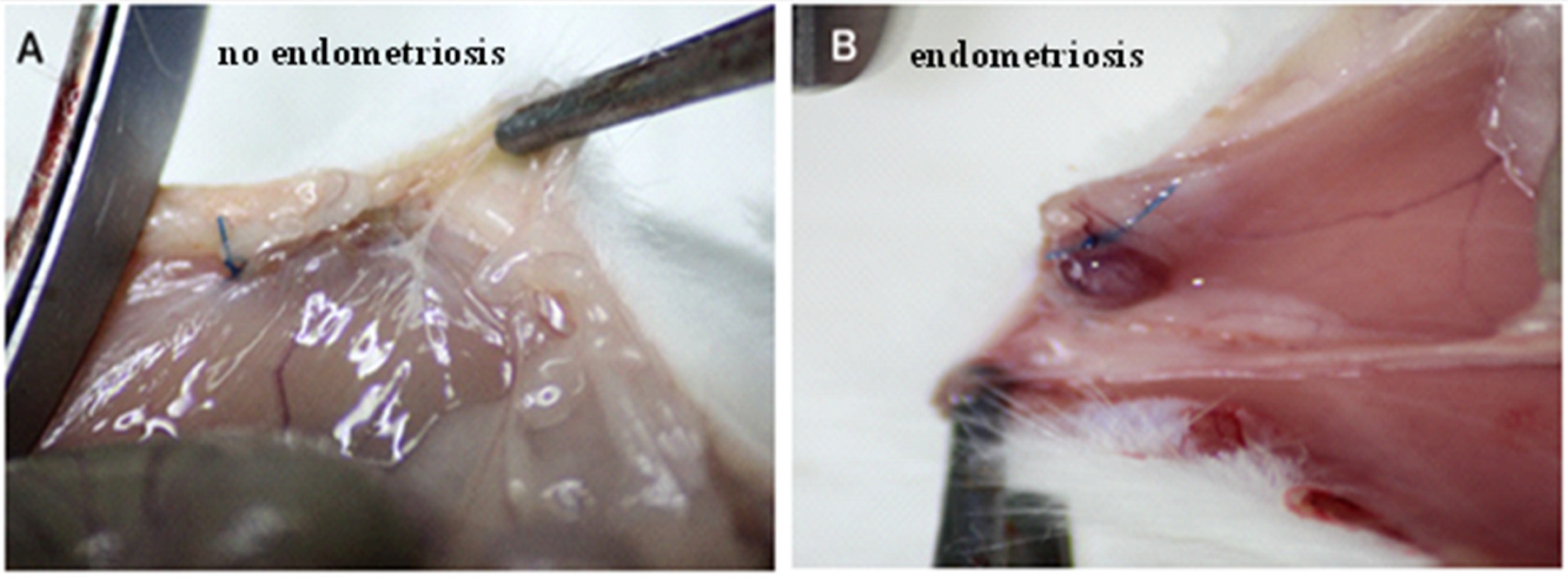 Pharmaceutics 13 00931 g001