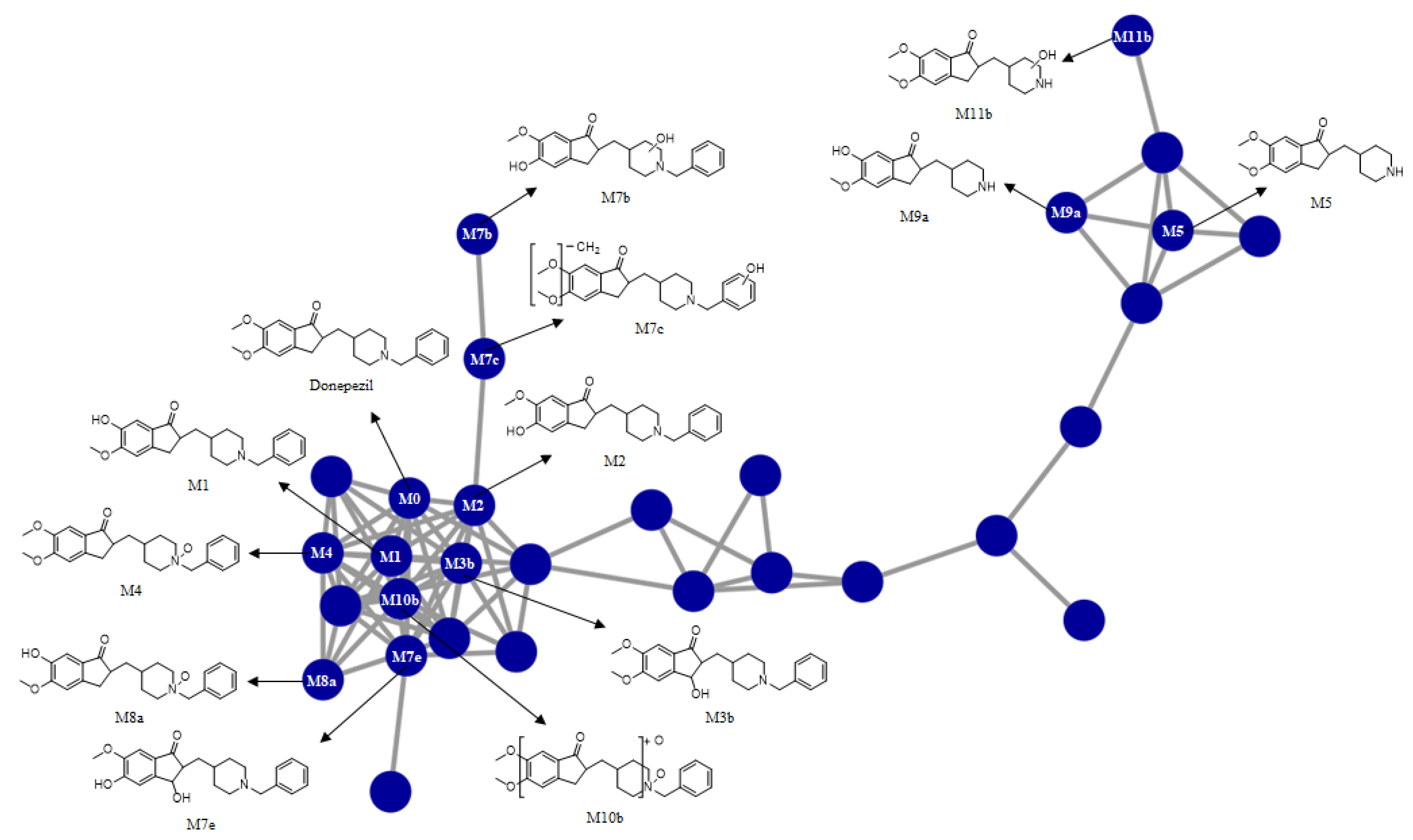 Pharmaceutics 13 00936 g003