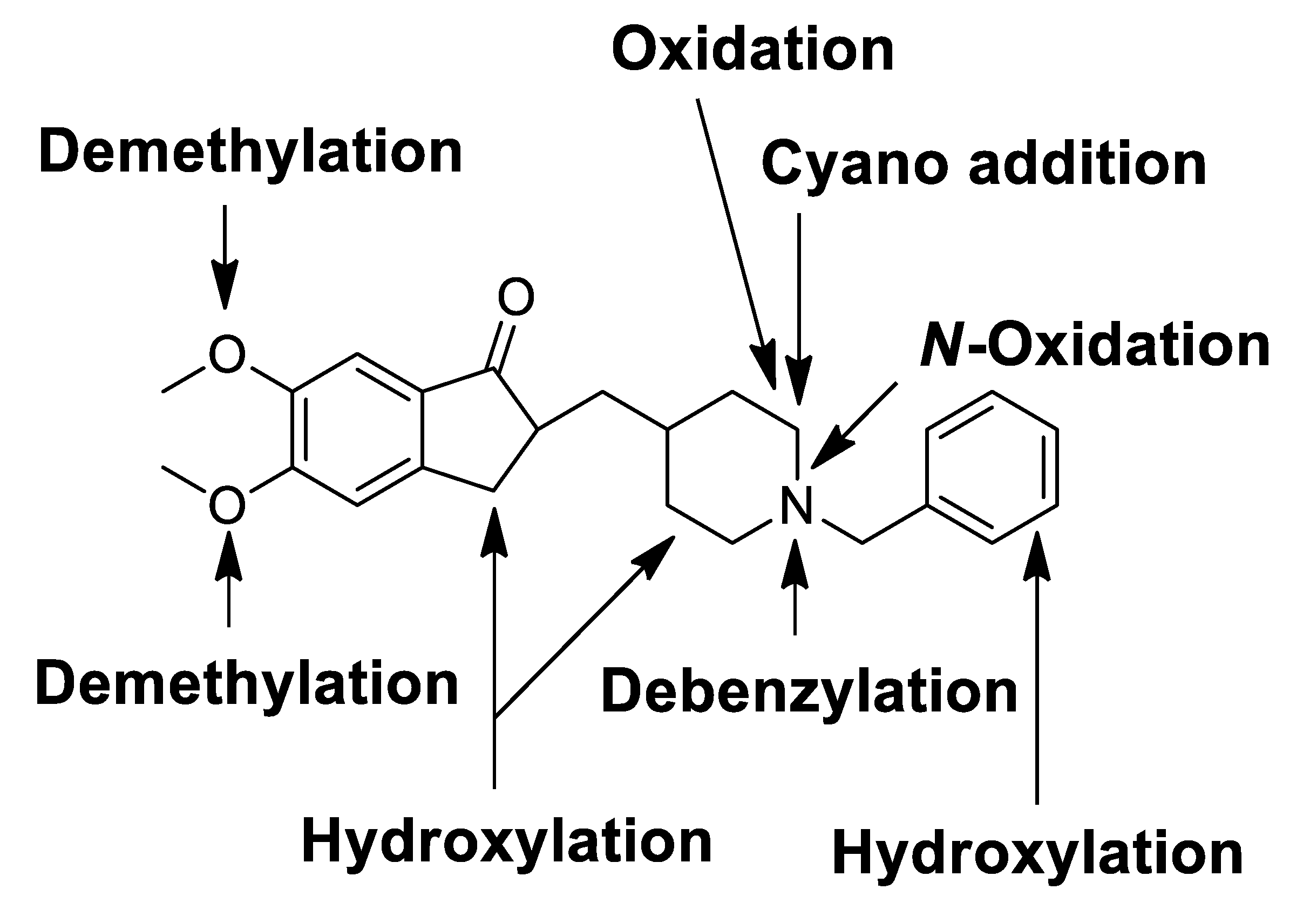 Pharmaceutics 13 00936 g007