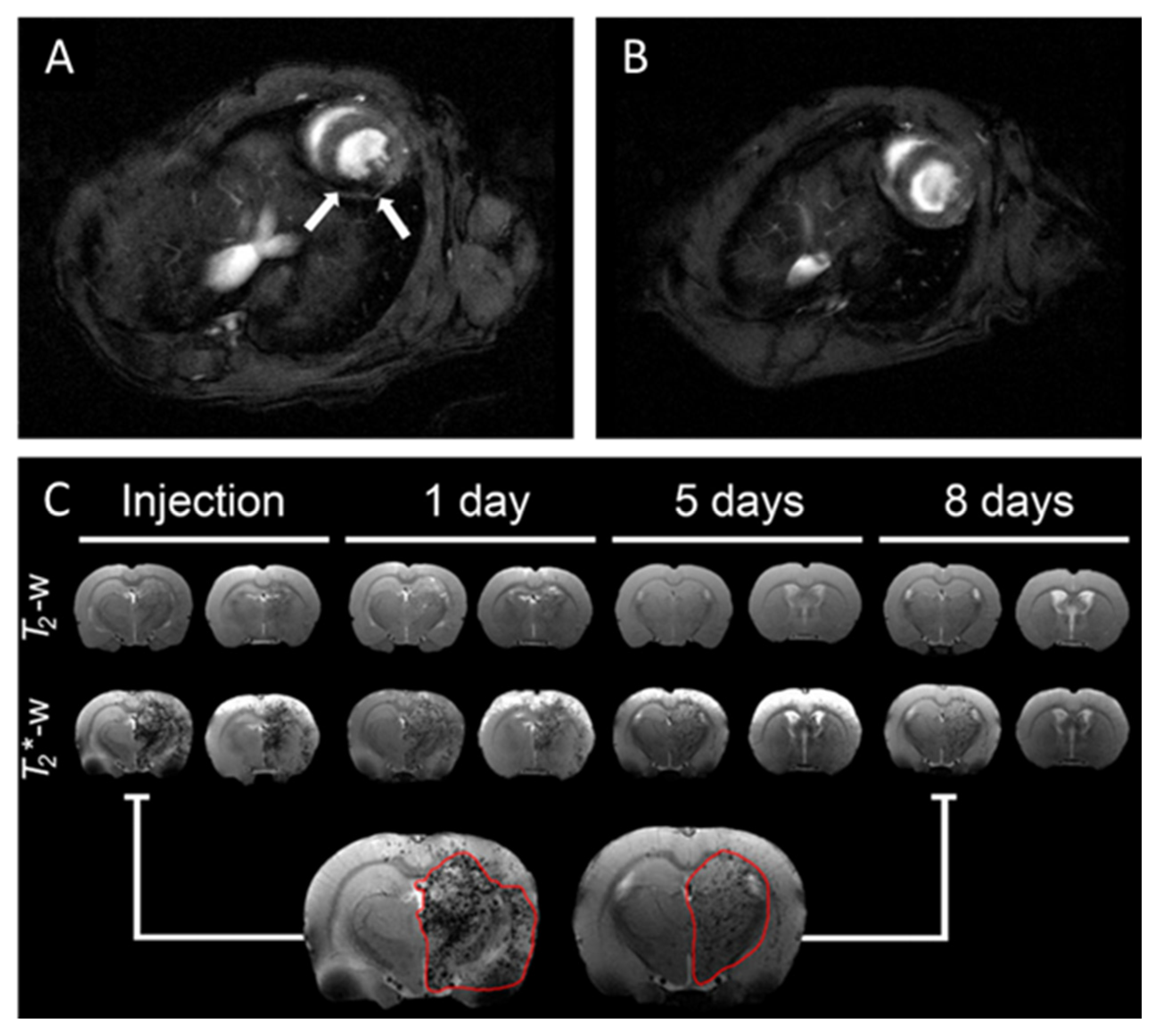 Pharmaceutics 13 00943 g004