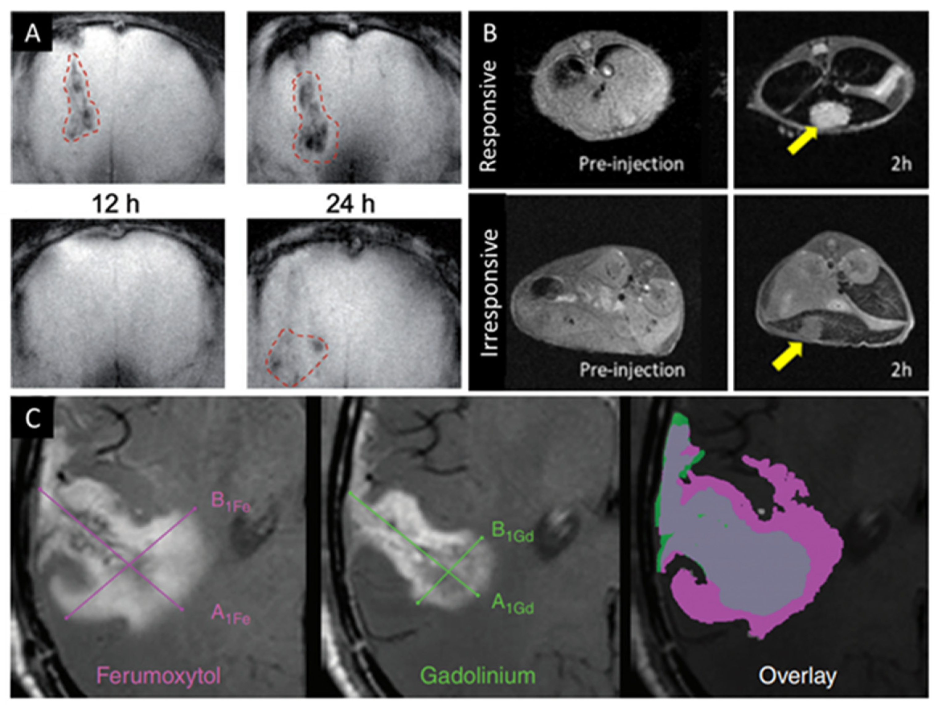 Pharmaceutics 13 00943 g005
