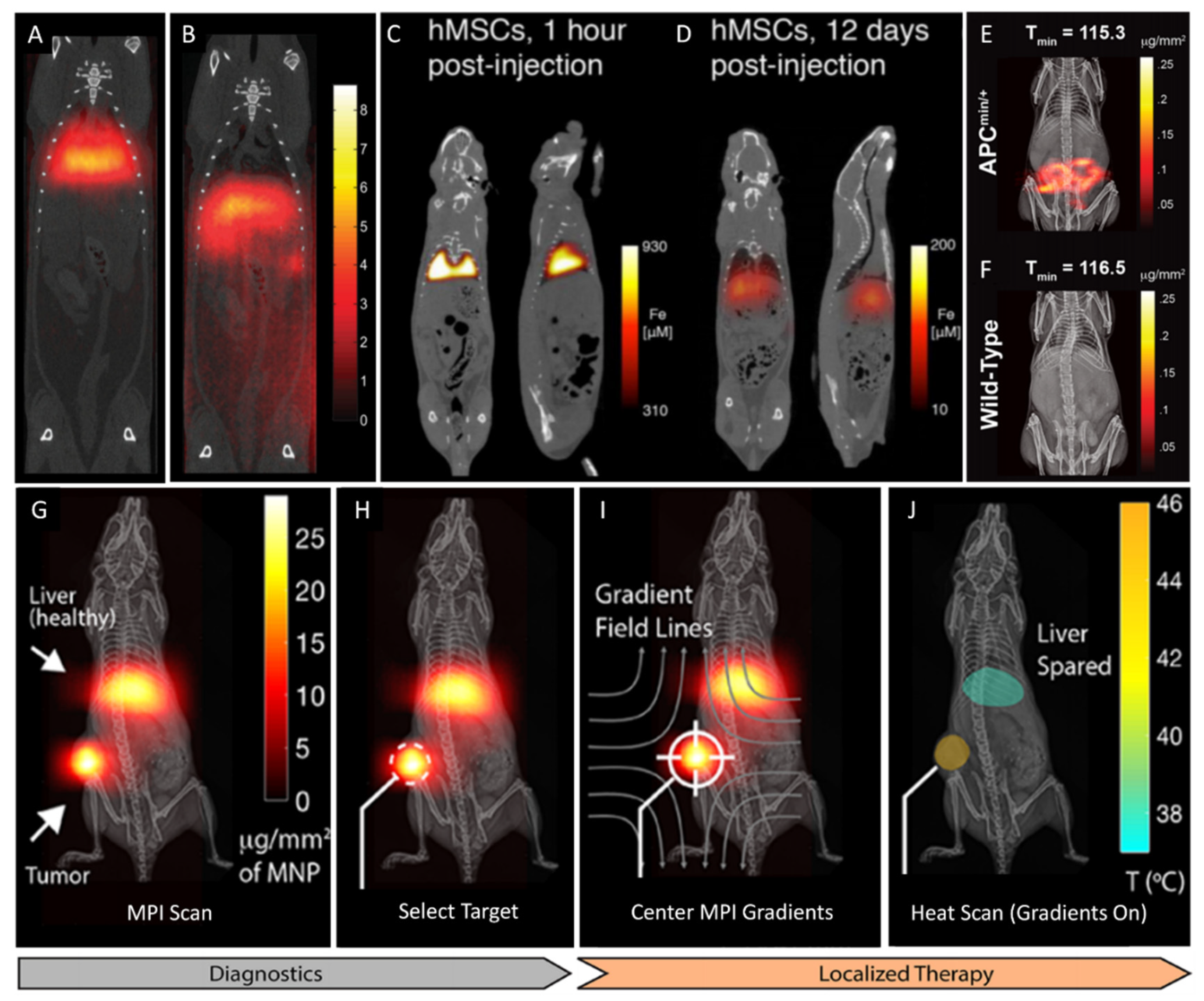 Pharmaceutics 13 00943 g006