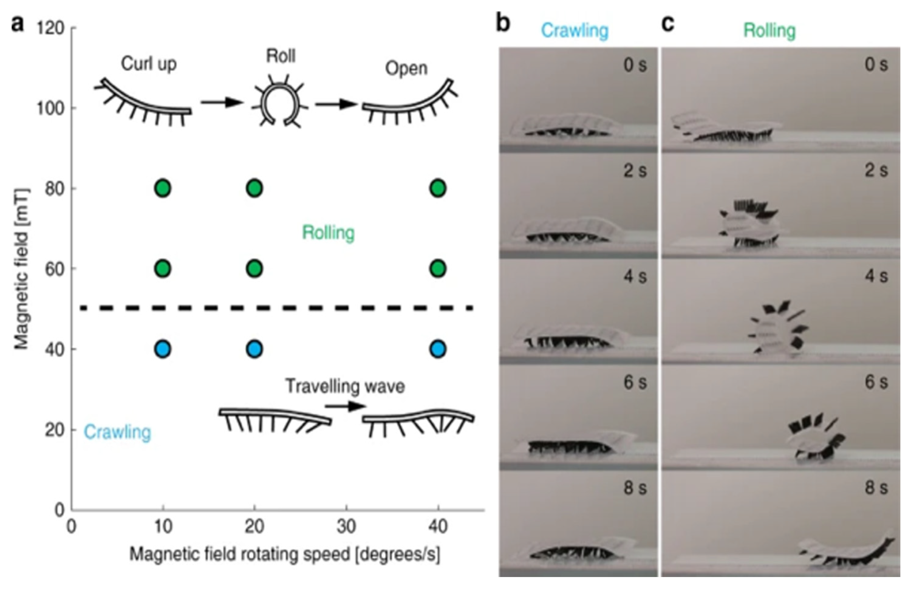 Pharmaceutics 13 00943 g008