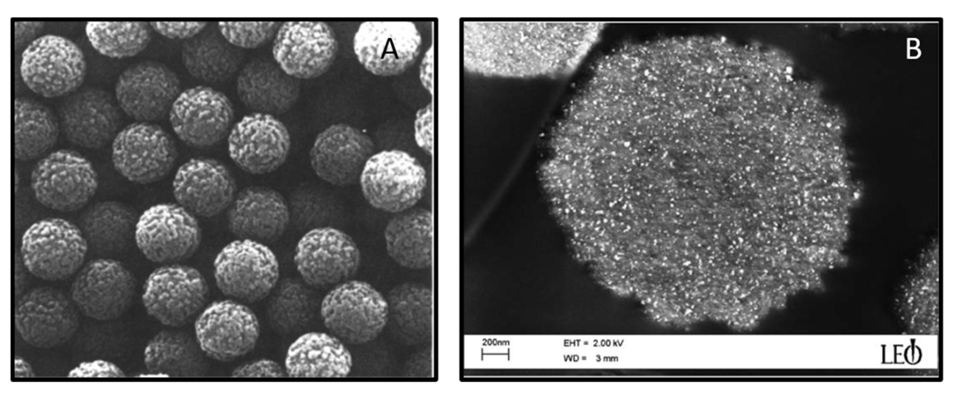 Pharmaceutics 13 00943 g009