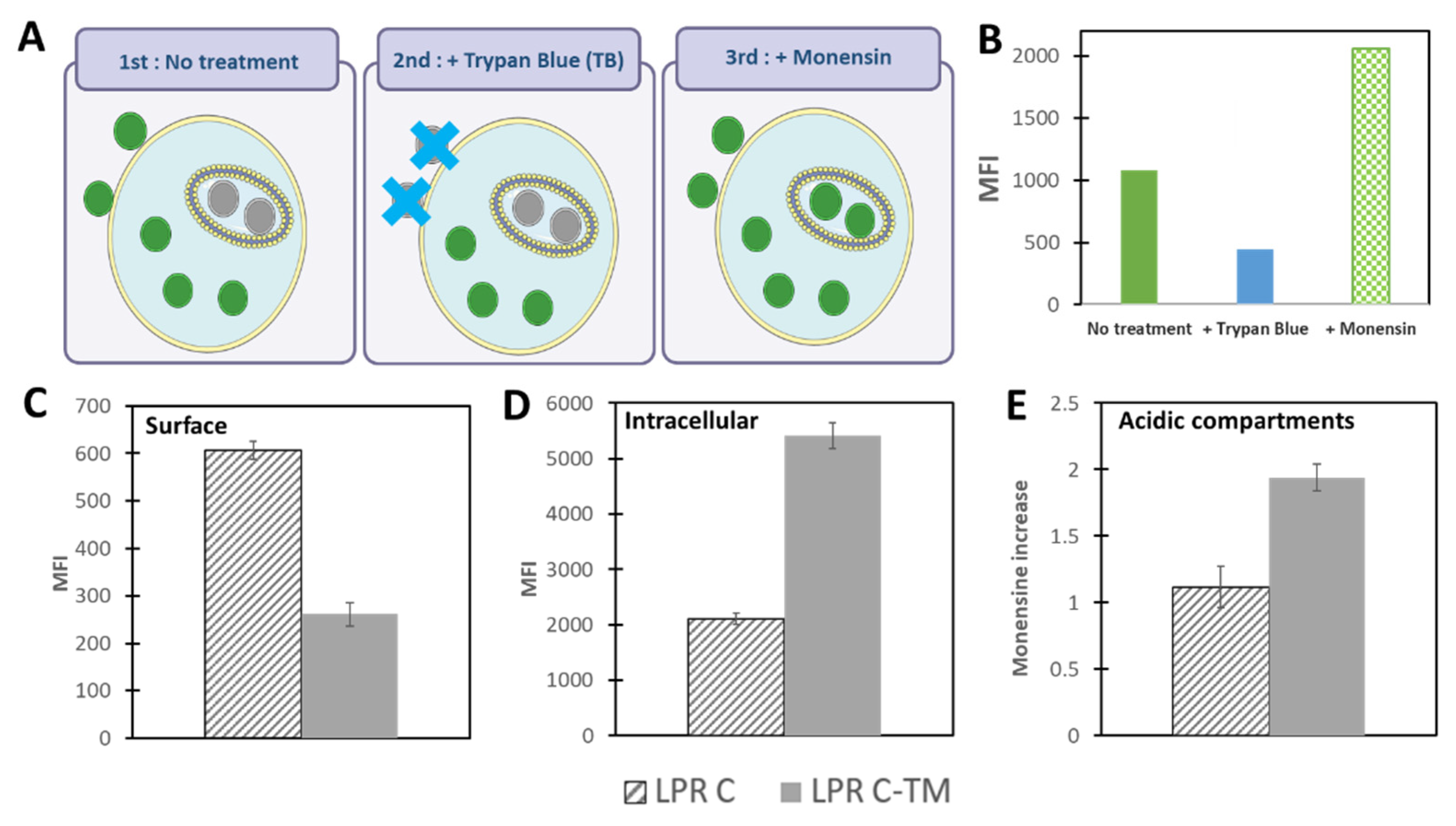 Pharmaceutics 13 00945 g003