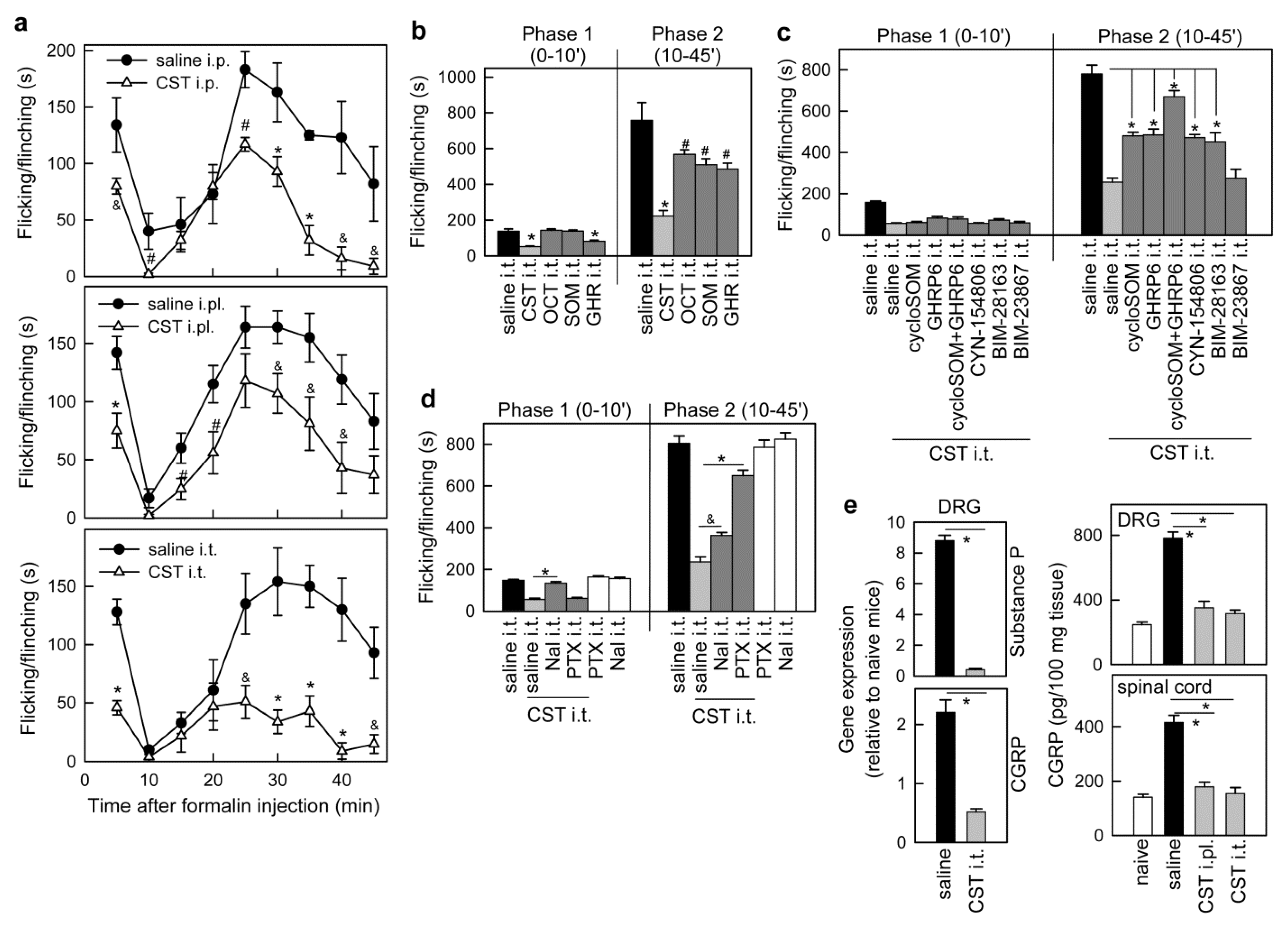 Pharmaceutics 13 00947 g001