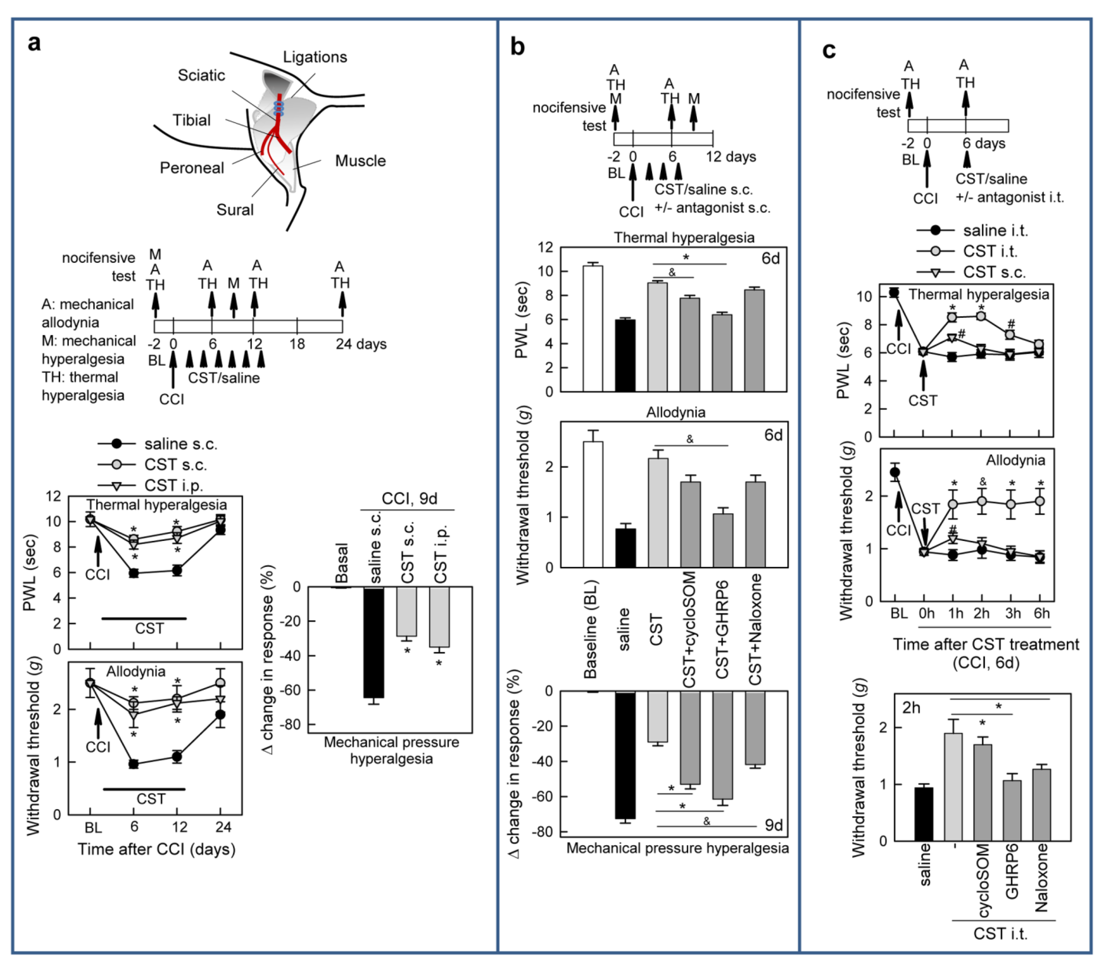 Pharmaceutics 13 00947 g002