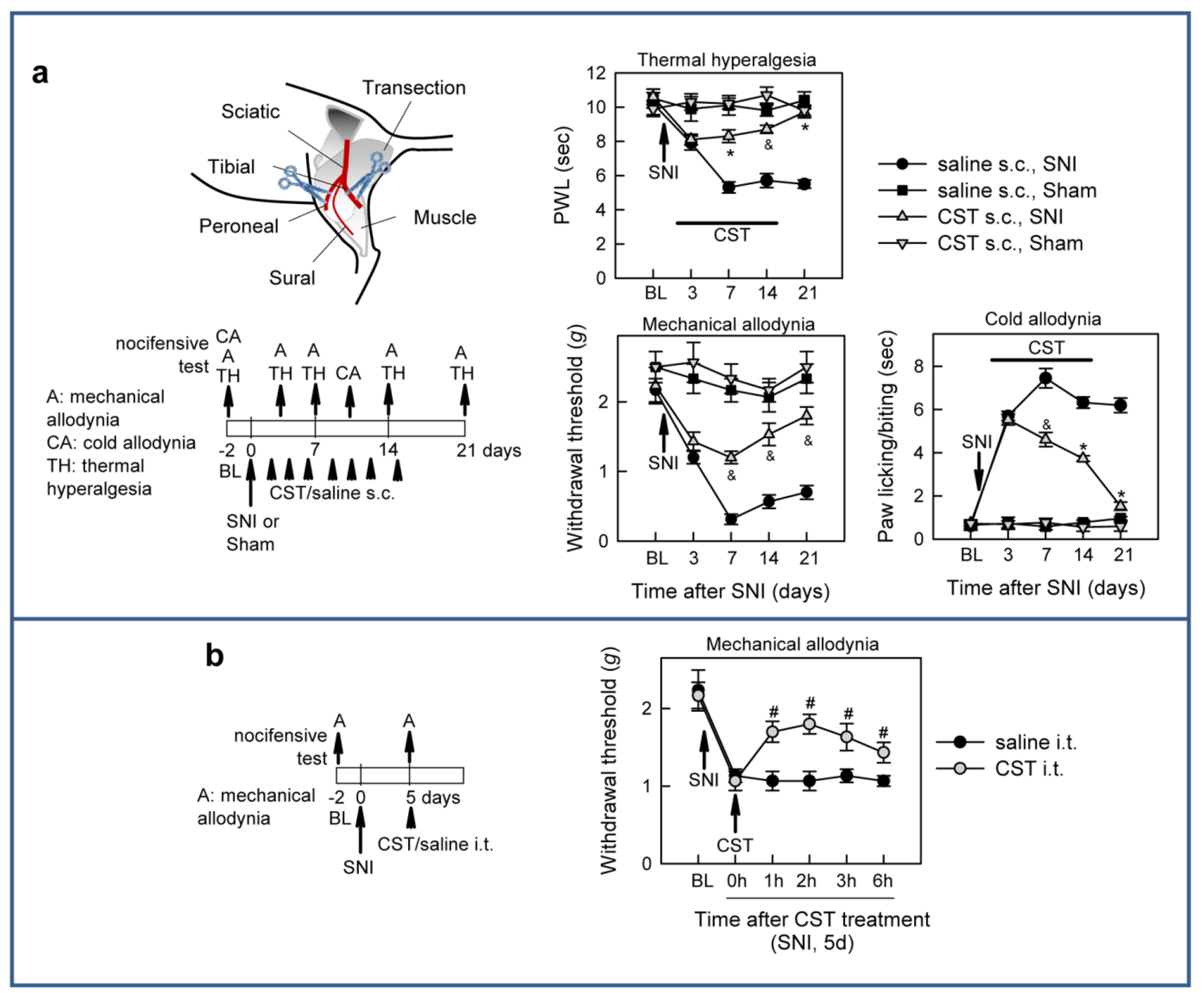 Pharmaceutics 13 00947 g003