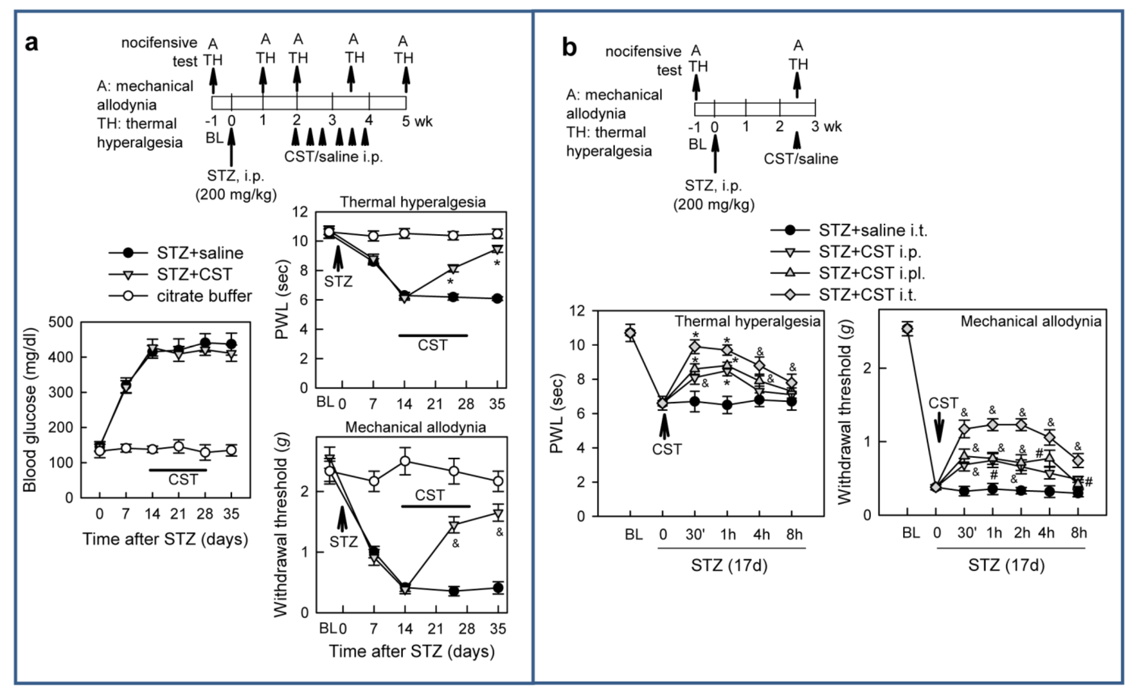 Pharmaceutics 13 00947 g004