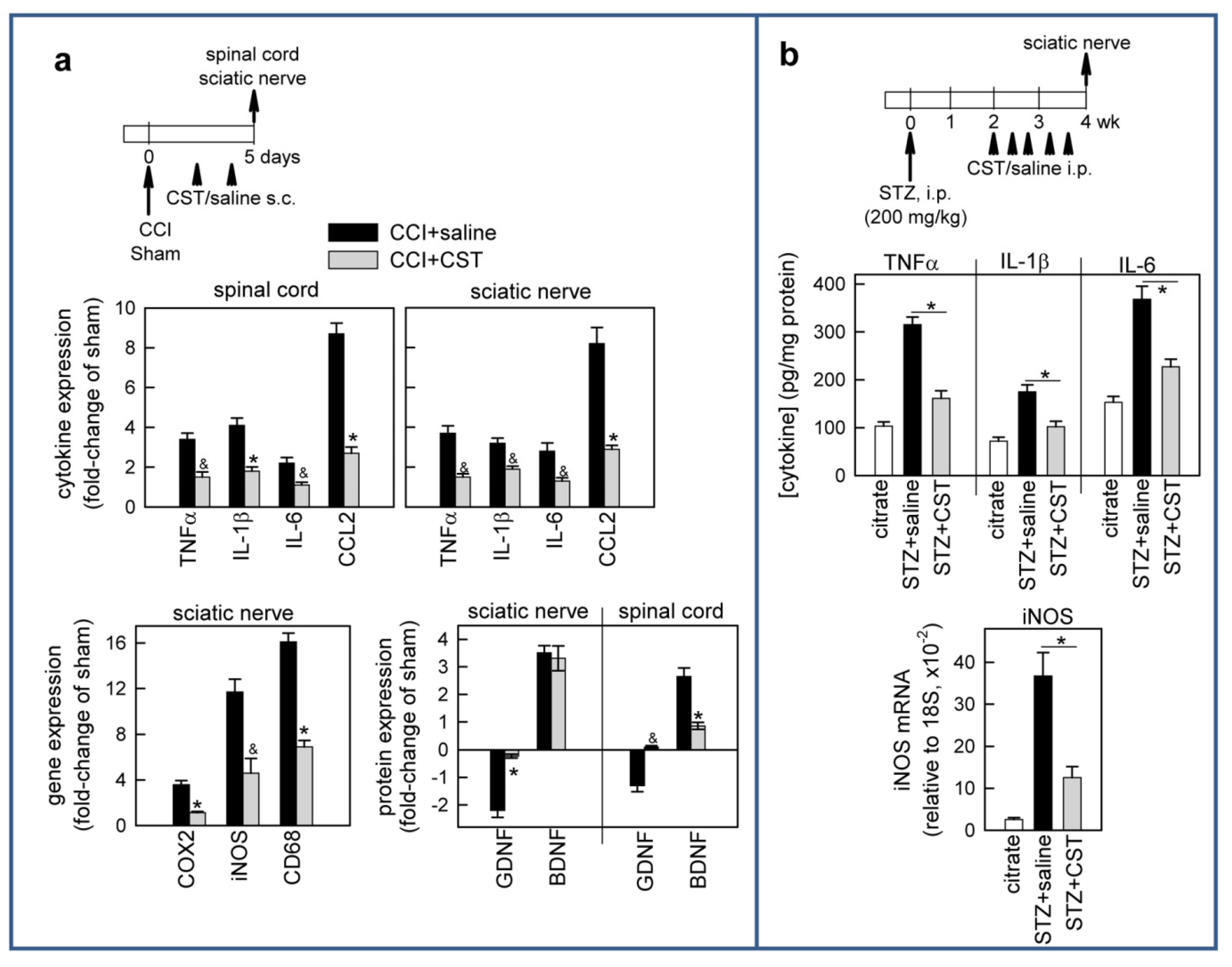 Pharmaceutics 13 00947 g005