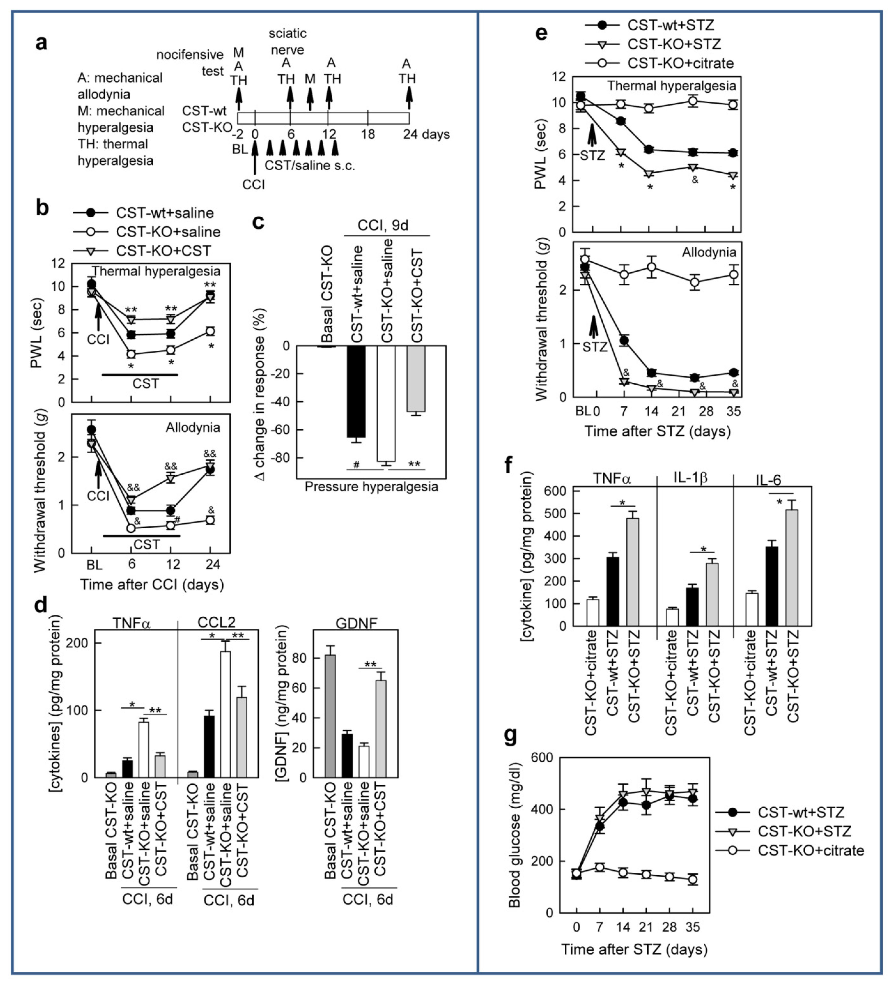Pharmaceutics 13 00947 g007