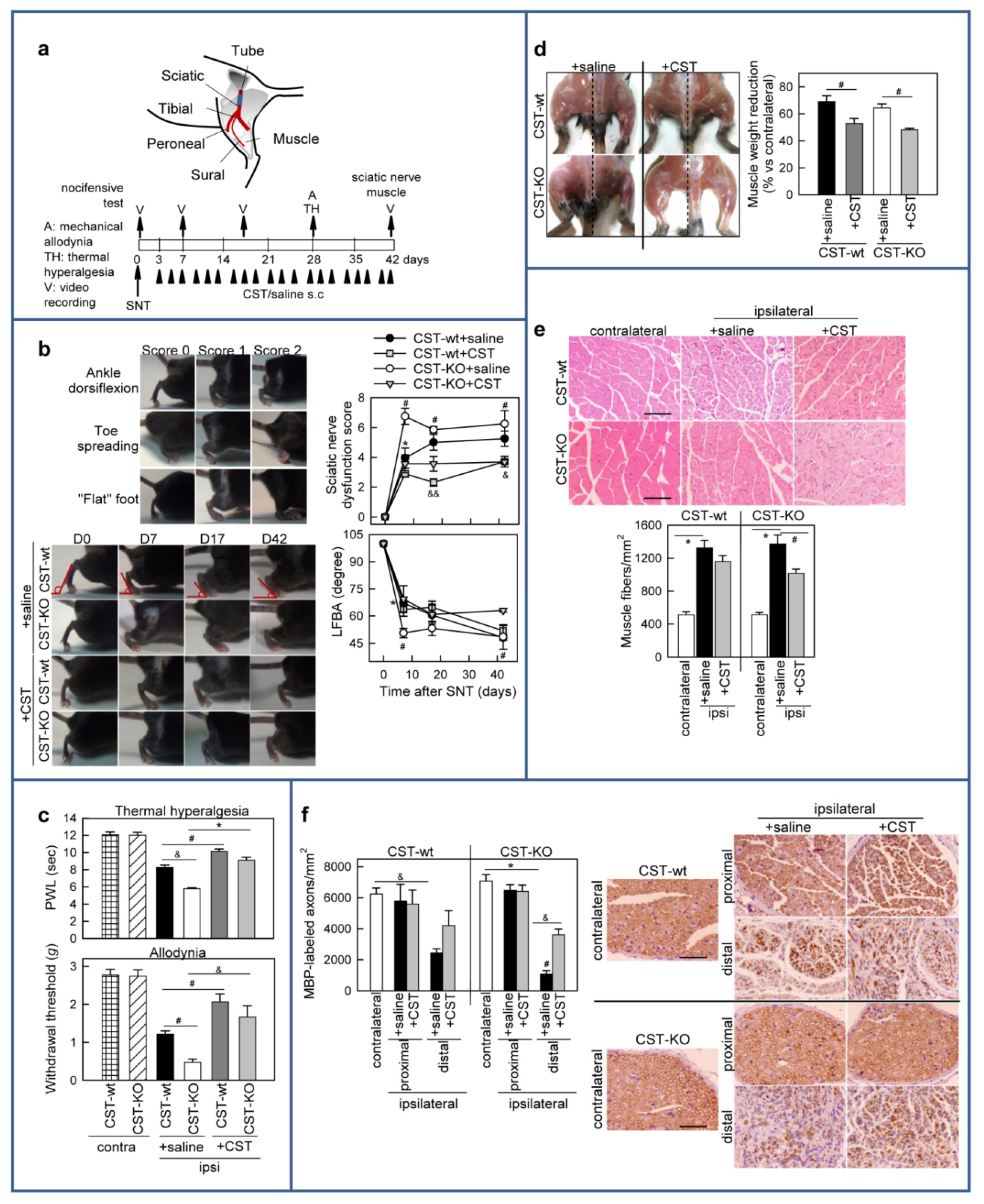 Pharmaceutics 13 00947 g008