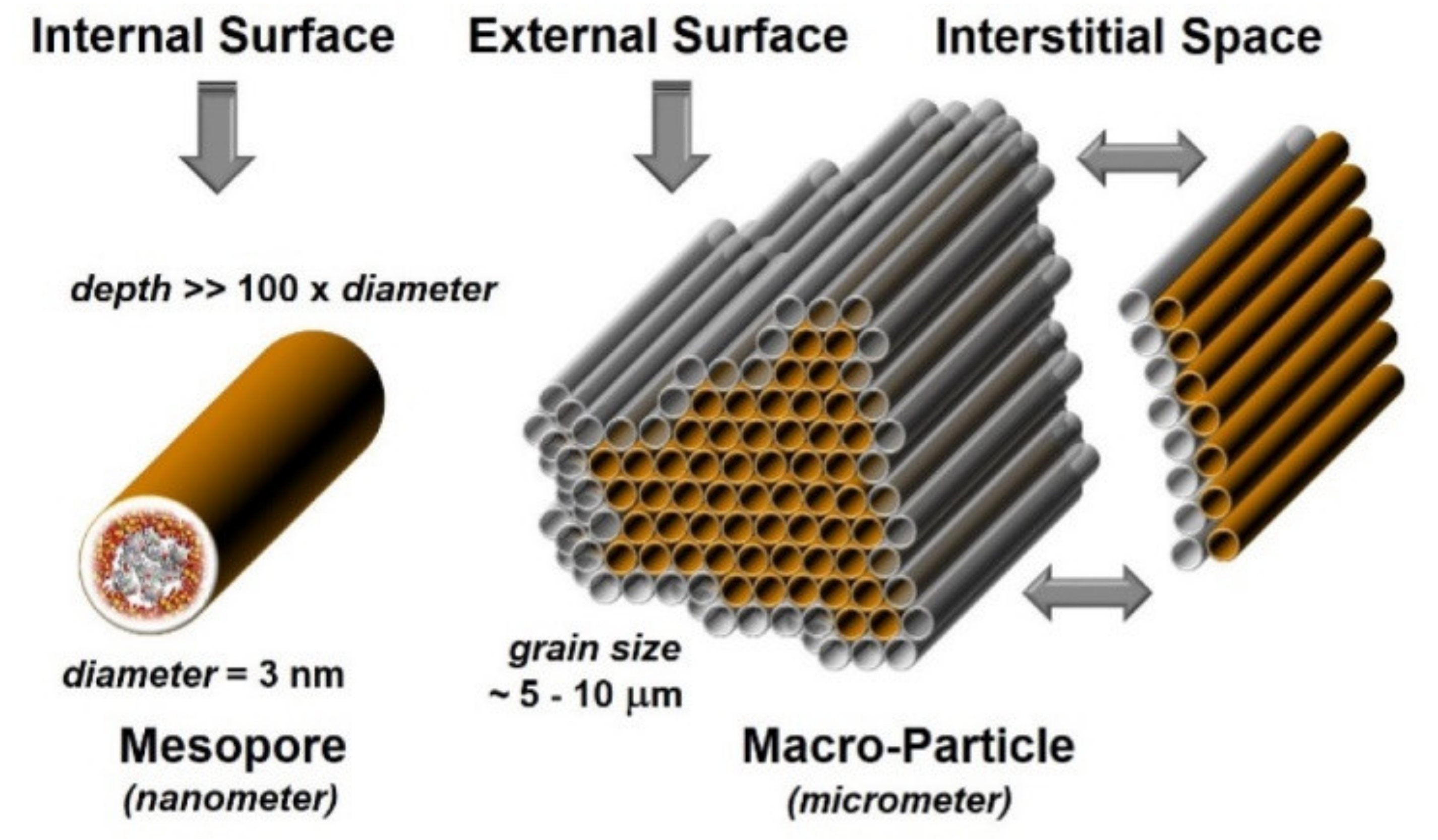 Pharmaceutics 13 00950 g004