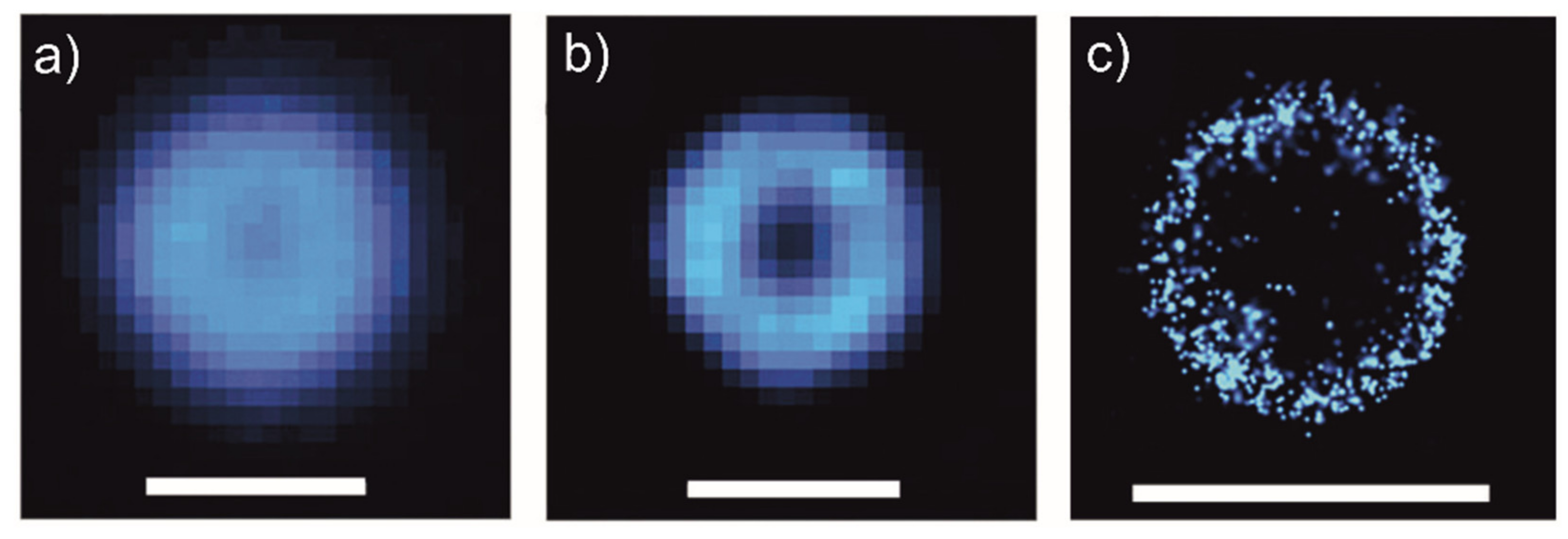 Pharmaceutics 13 00950 g010