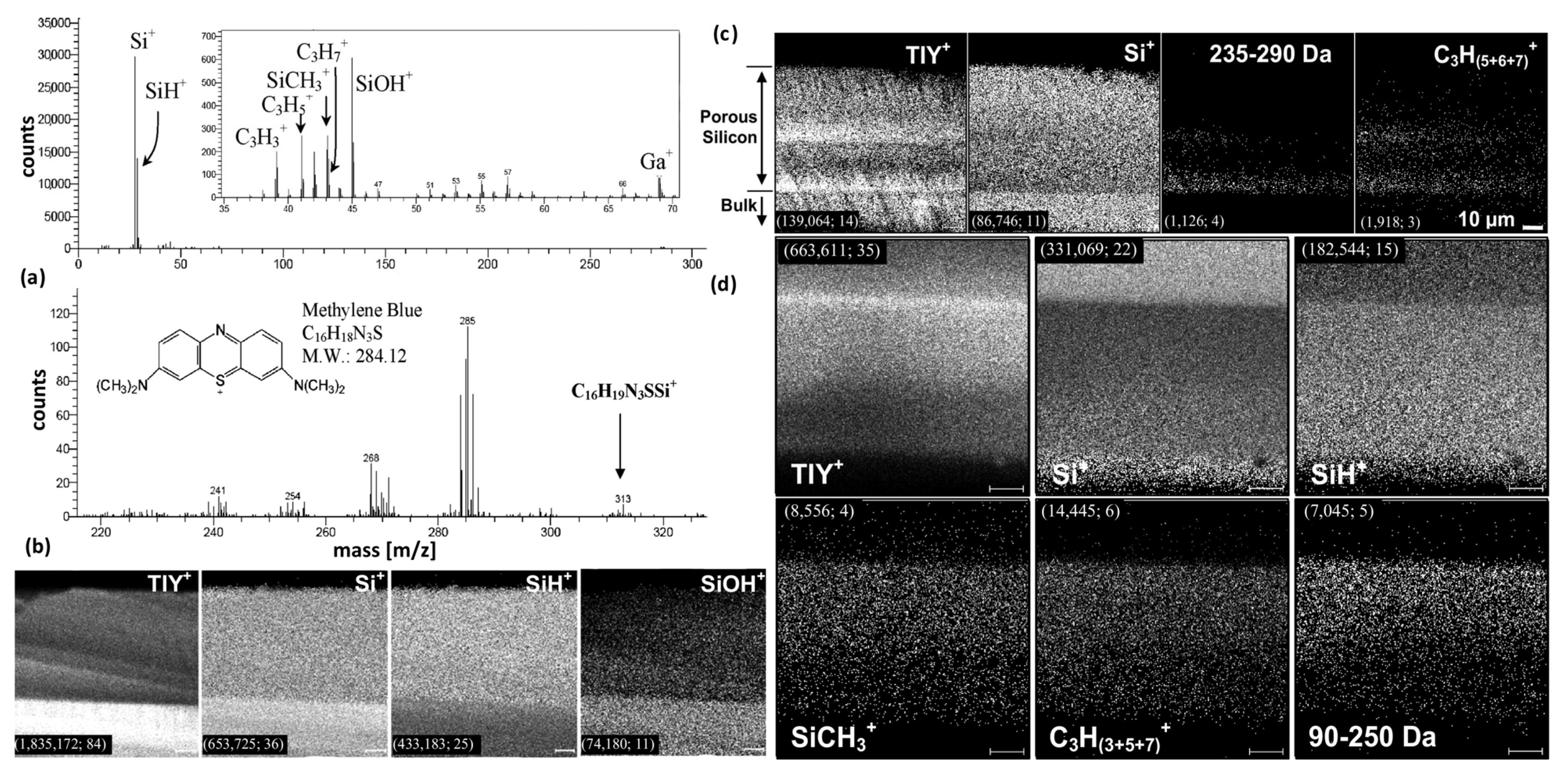 Pharmaceutics 13 00950 g017