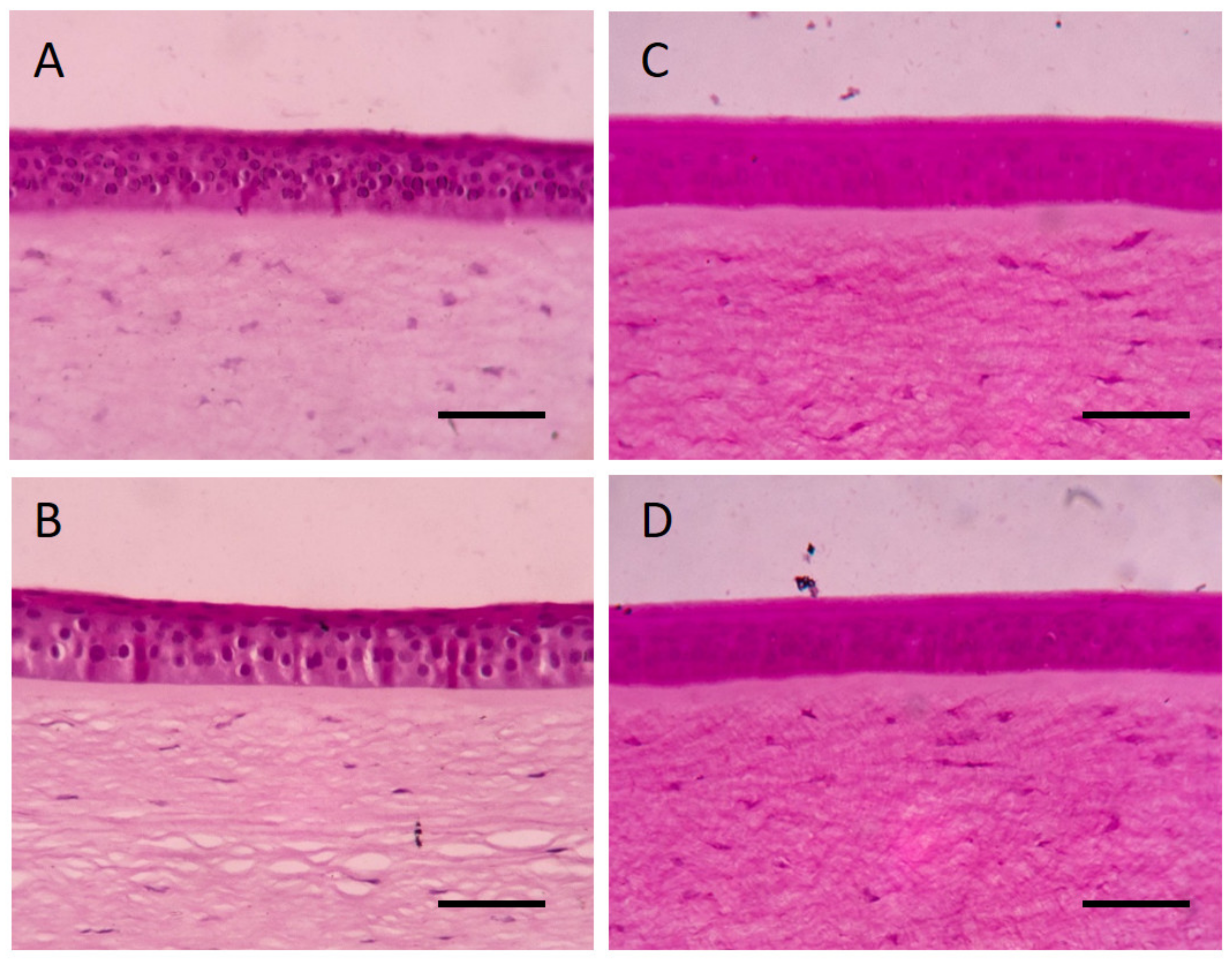 Pharmaceutics 13 00952 g005