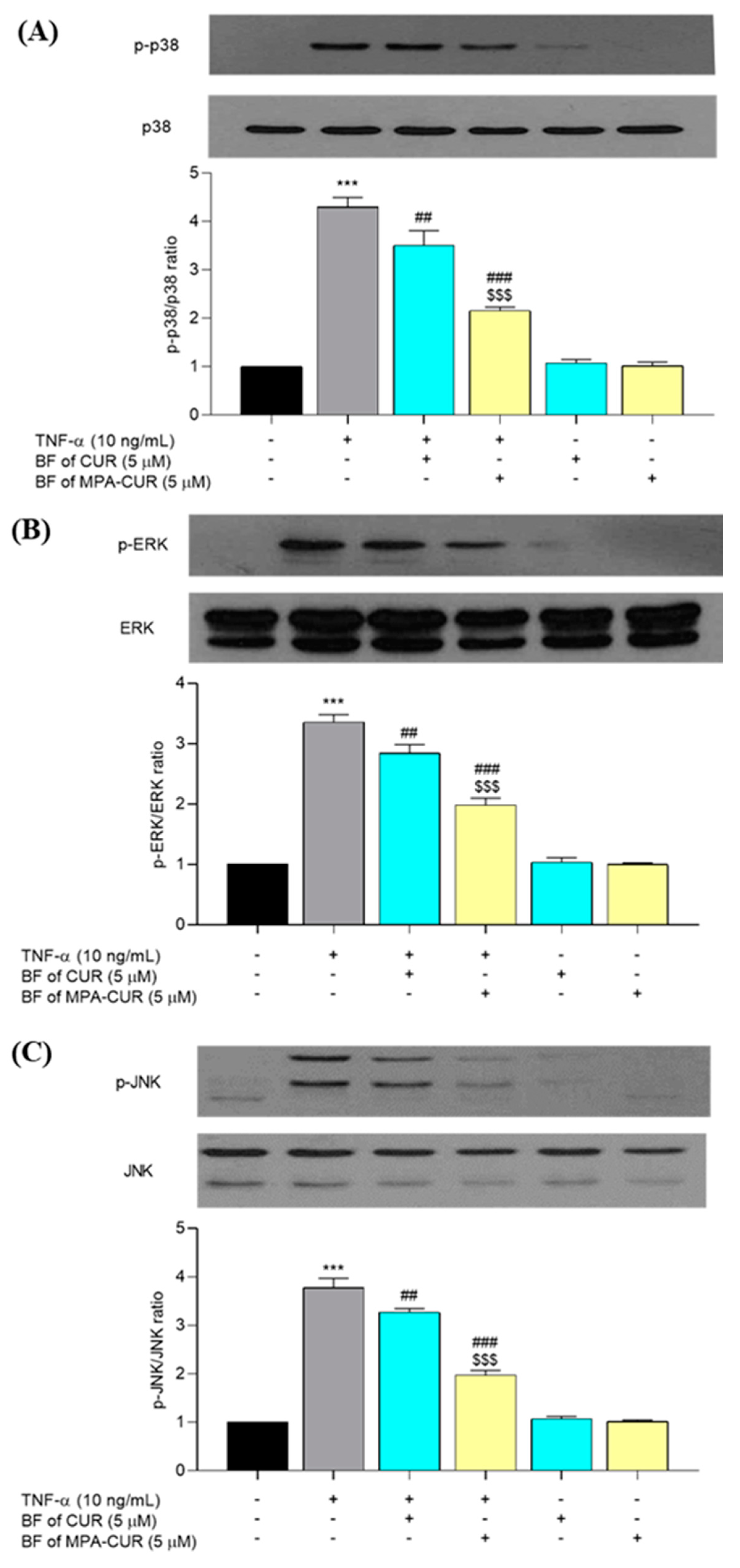 Pharmaceutics 13 00956 g007 Pharmaceutics 13 00956 g007