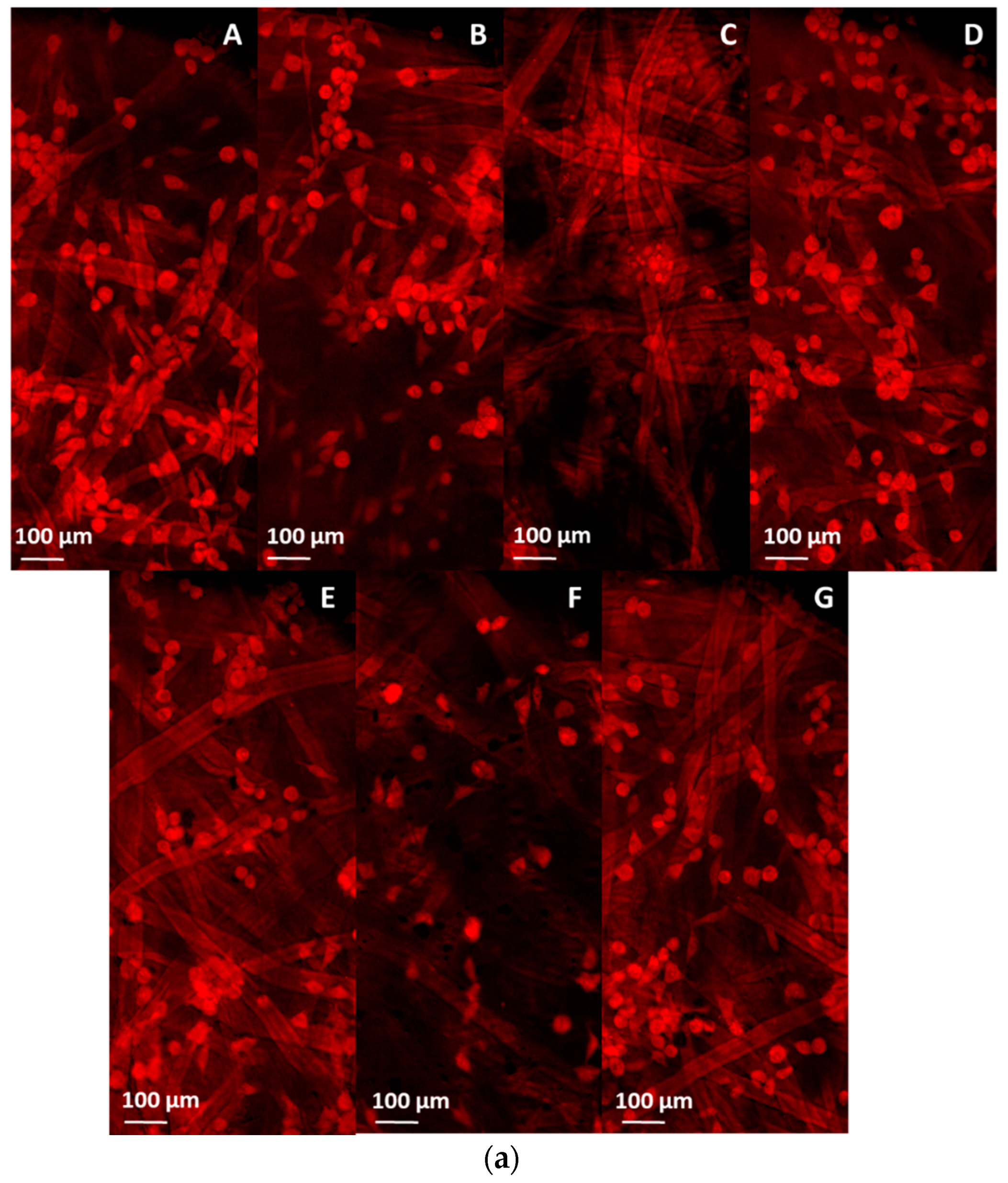Pharmaceutics 13 00957 g010a