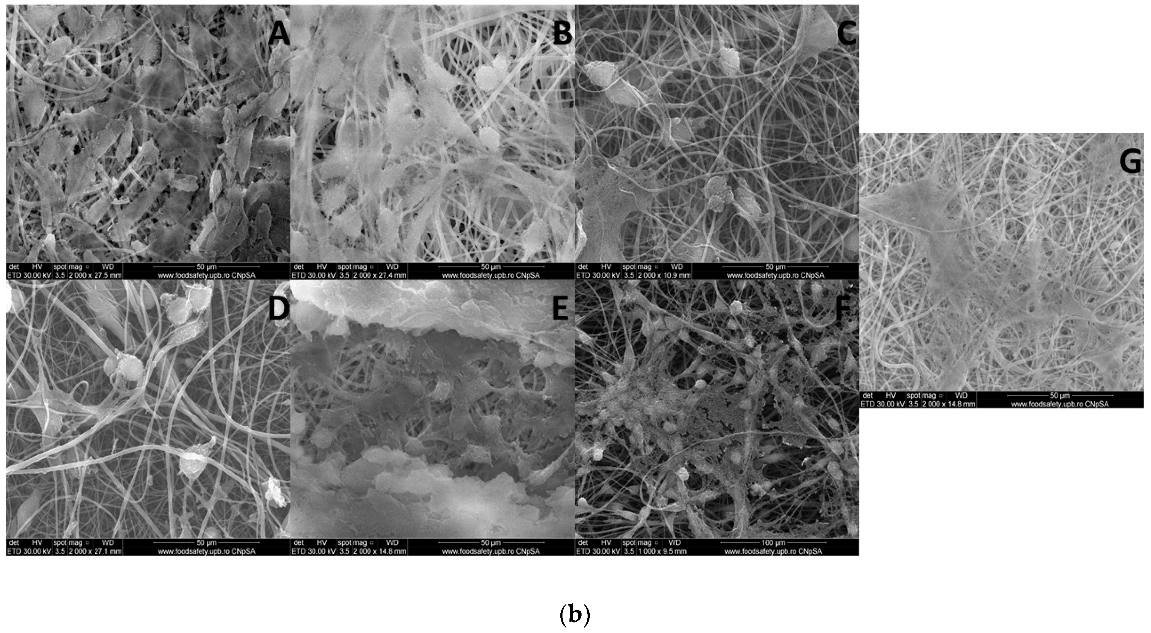 Pharmaceutics 13 00957 g010b