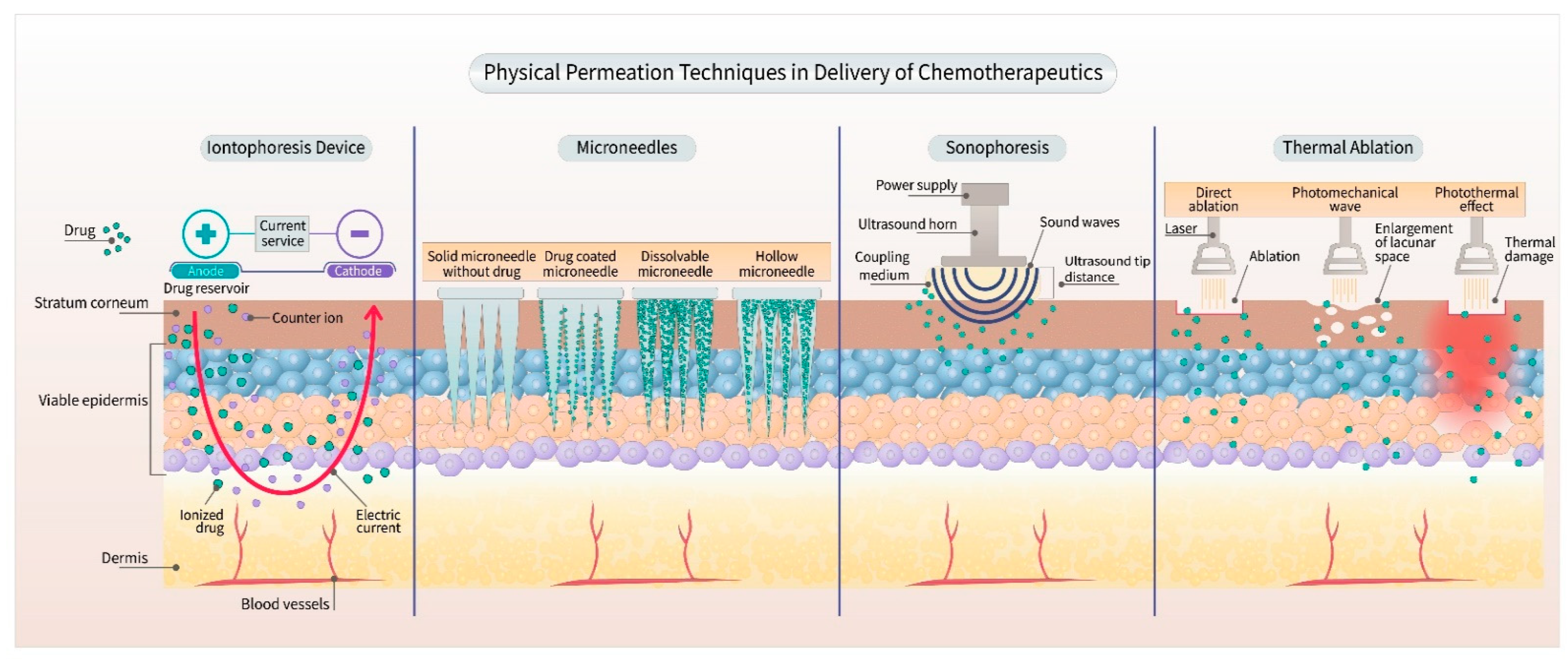 Pharmaceutics 13 00960 g002 Pharmaceutics 13 00960 g002