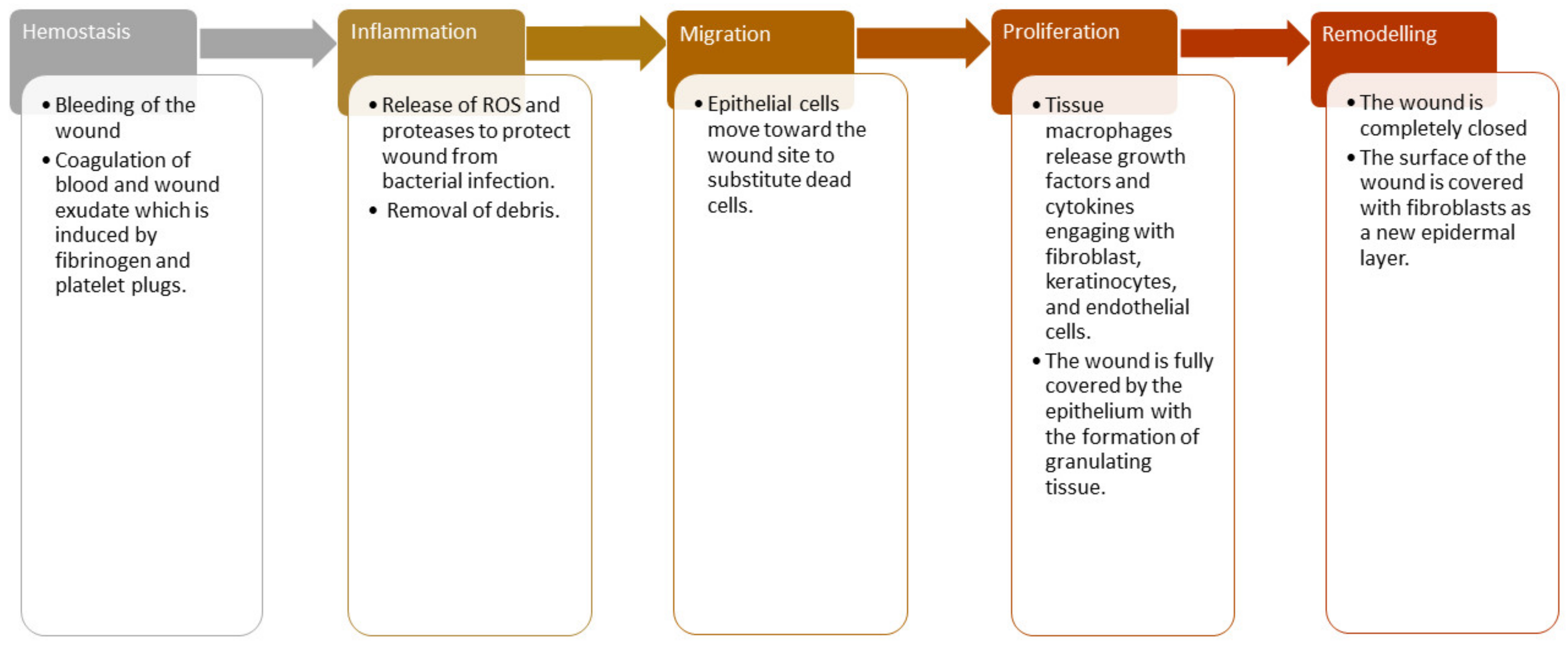 Pharmaceutics 13 00961 g001