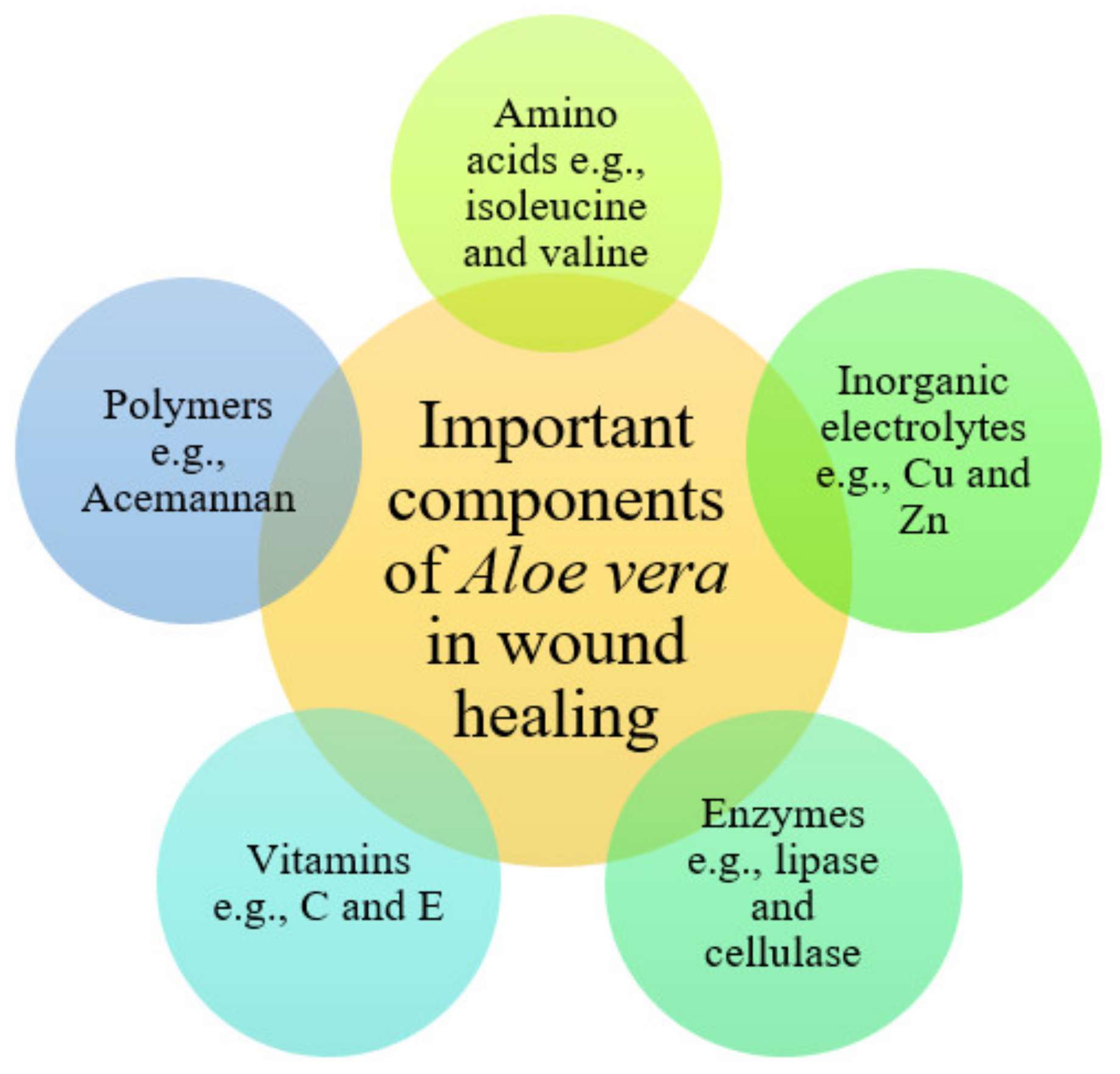 Pharmaceutics 13 00961 g003
