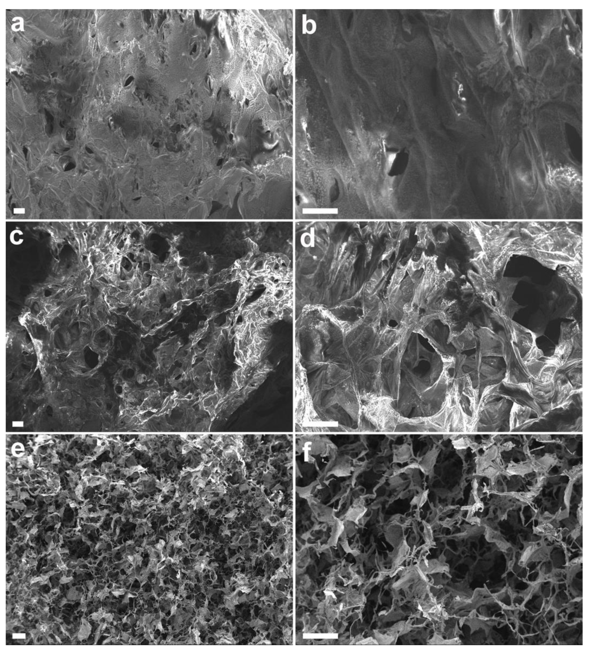 Pharmaceutics 13 00963 g001