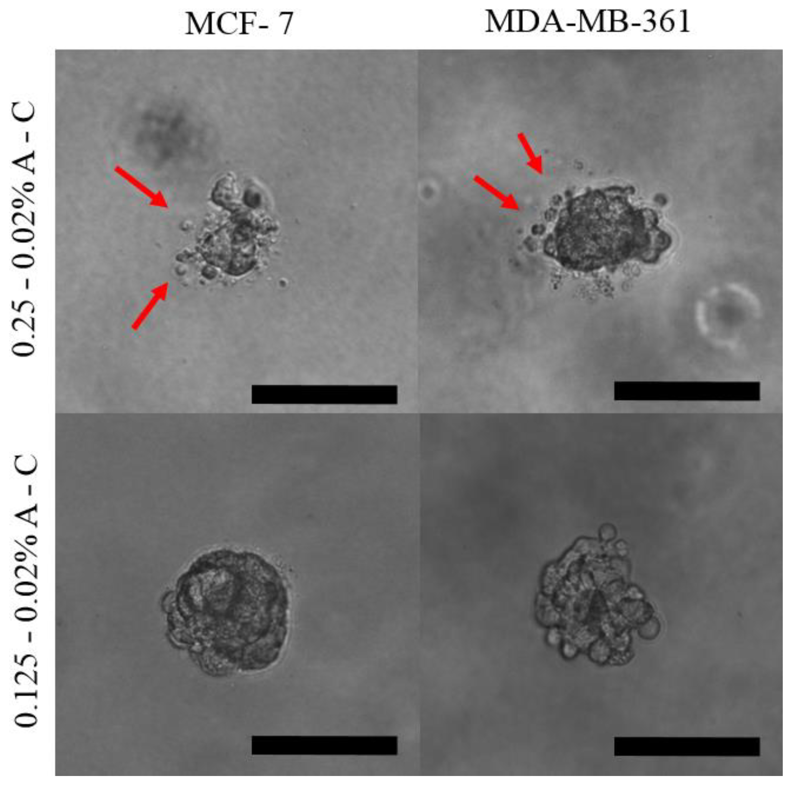 Pharmaceutics 13 00963 g005