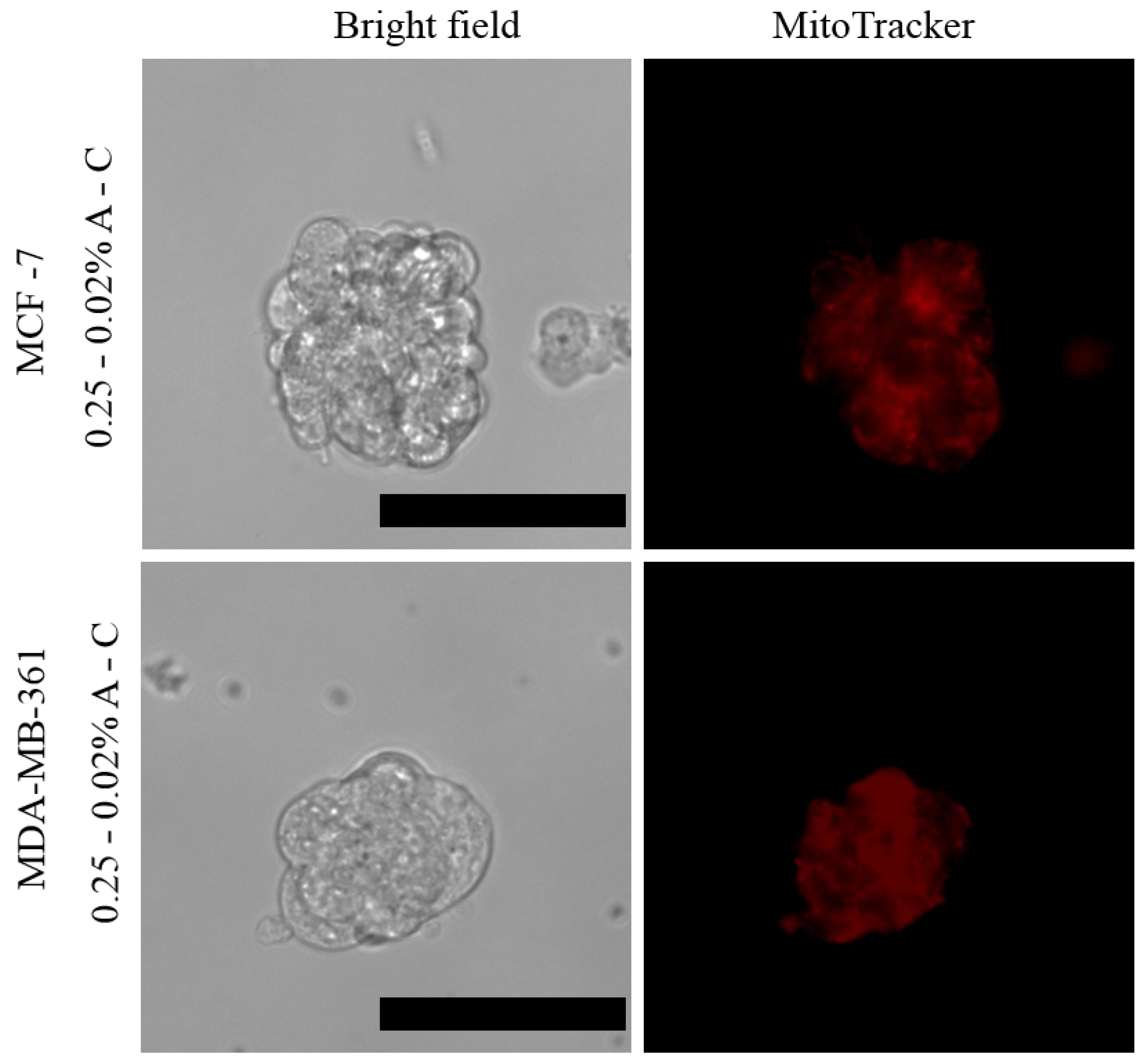 Pharmaceutics 13 00963 g006