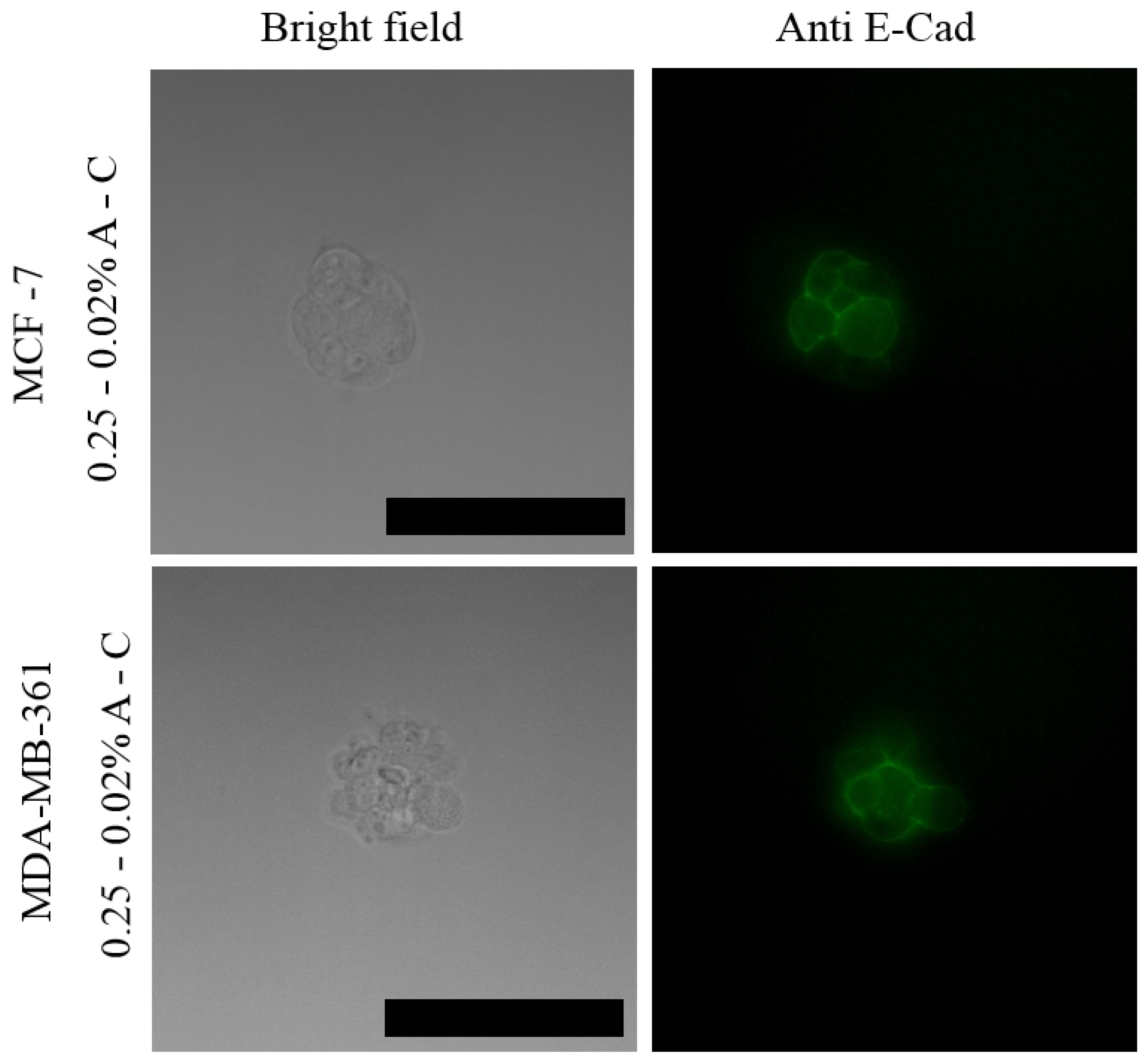 Pharmaceutics 13 00963 g007